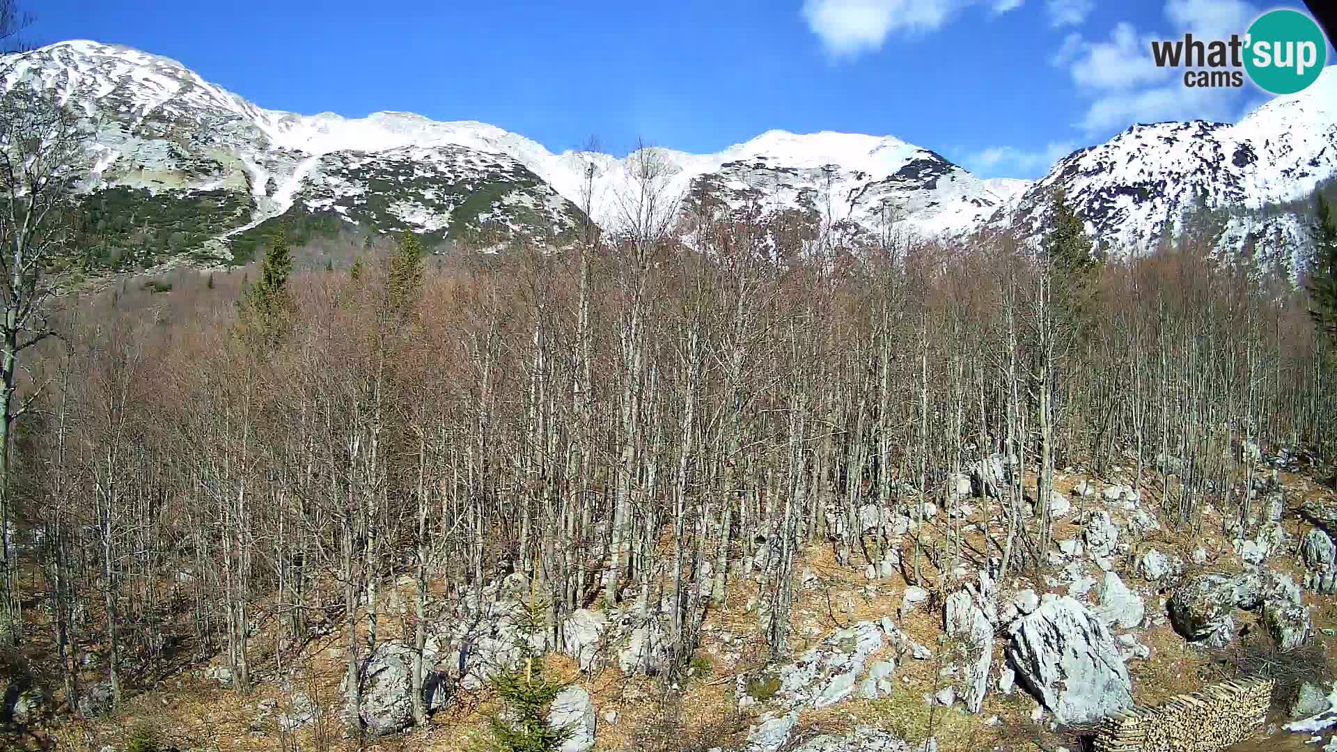 Webcam PLANINA RAZOR (1315) | Blick auf Vogel und Globoko