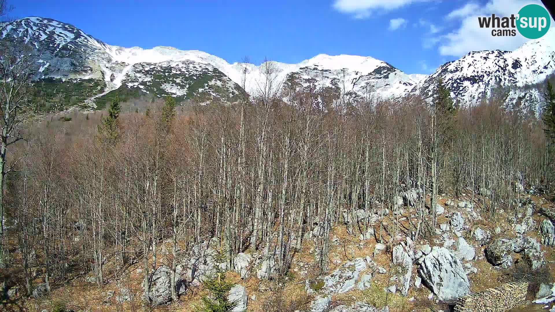 Cámara web PLANINA RAZOR (1315) | vista a Vogel y Globoko