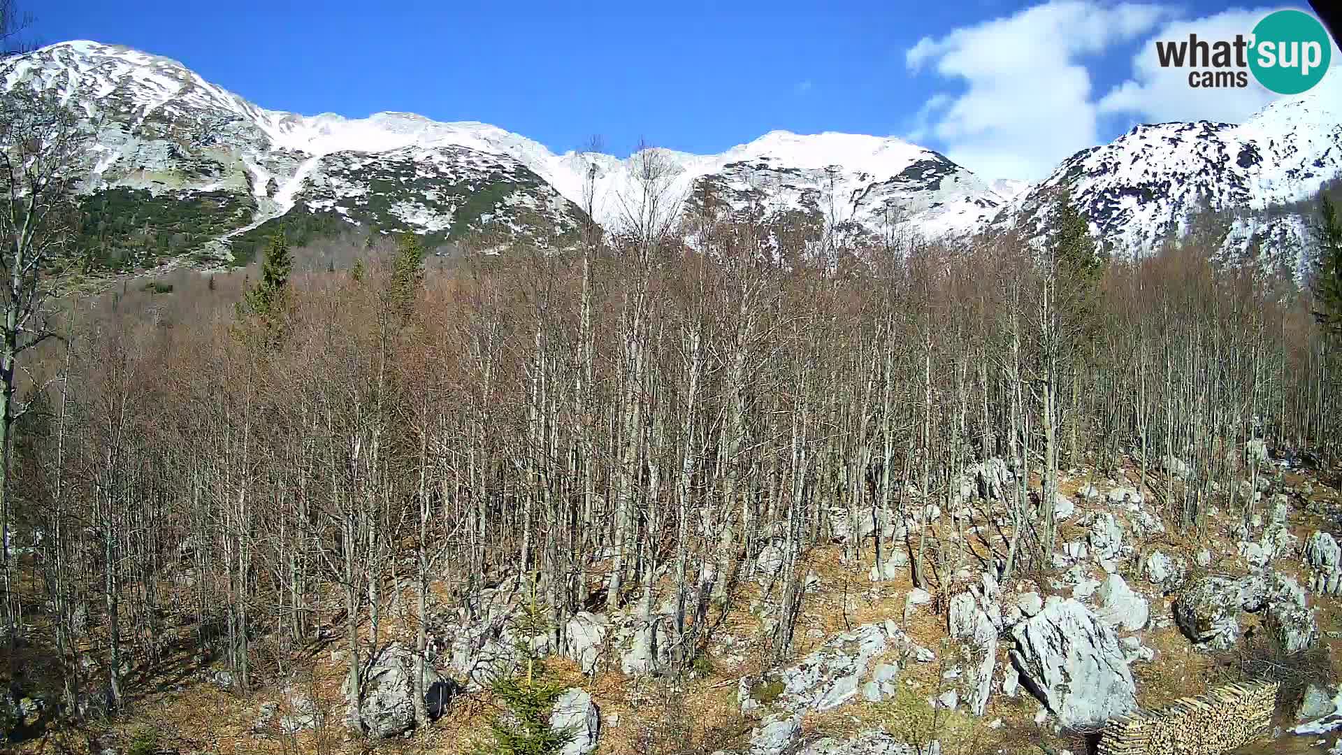 PLANINA RAZOR webcam (1315) | view to Vogel and Globoko