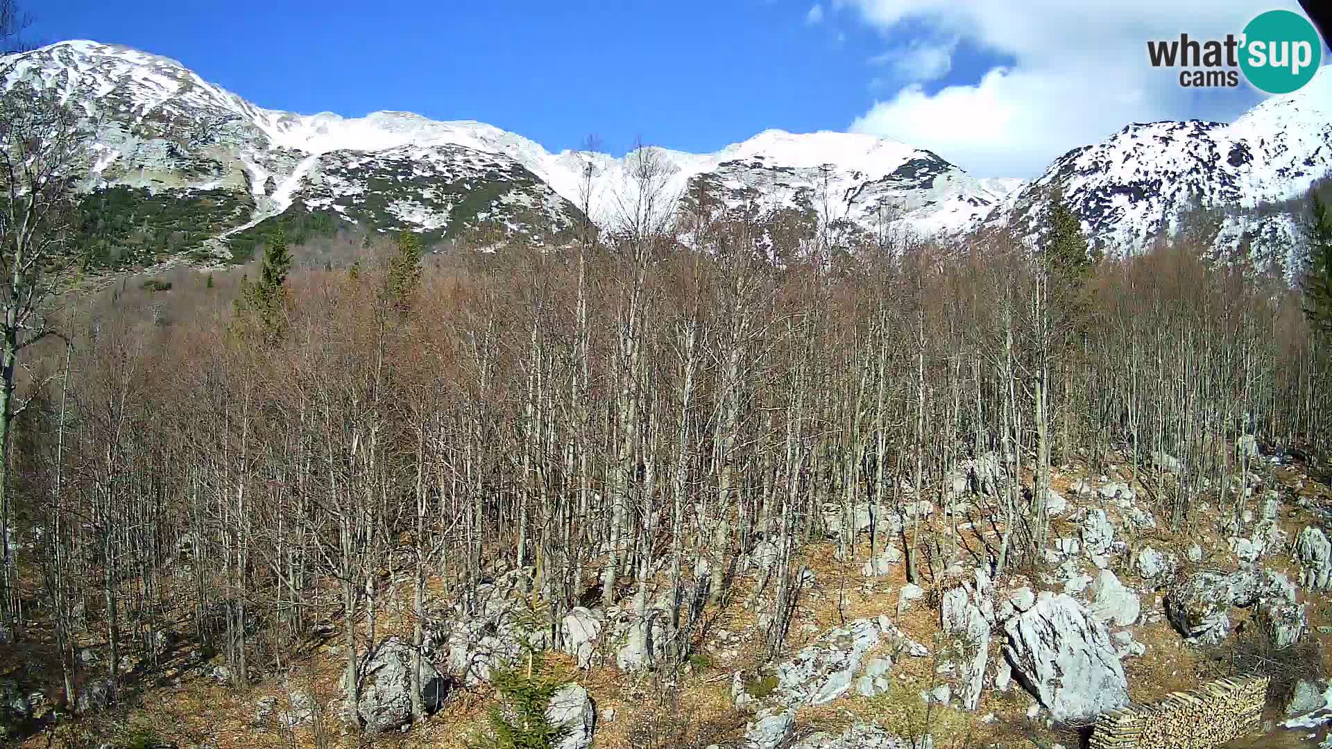 PLANINA RAZOR webcam (1315) | view to Vogel and Globoko