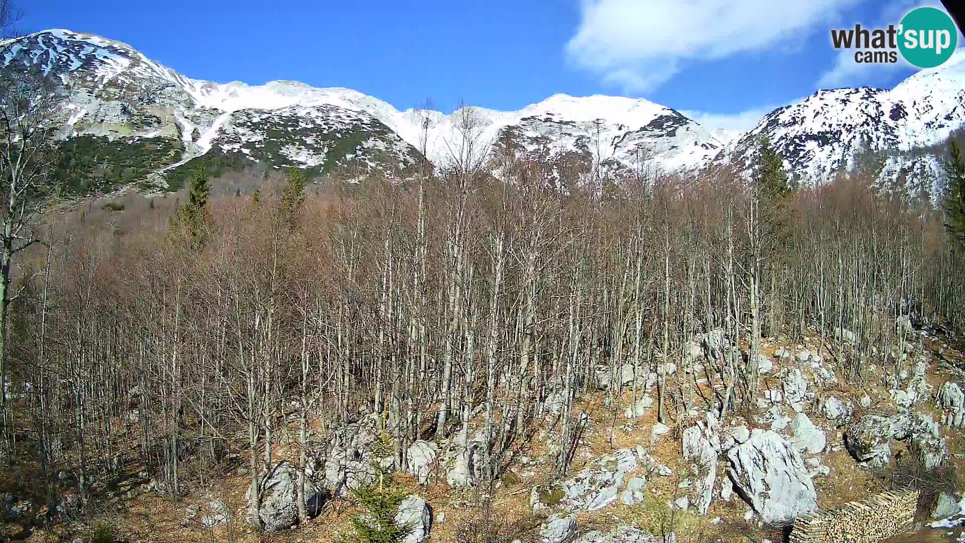 PLANINA RAZOR Live Cam (1315) | vista su Vogel e Globoko