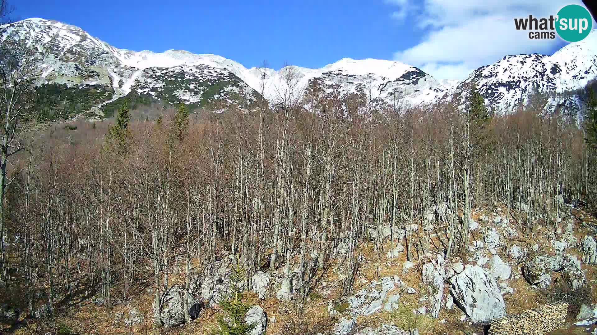 PLANINA RAZOR kamera (1315) | pogled na Vogel in Globoko