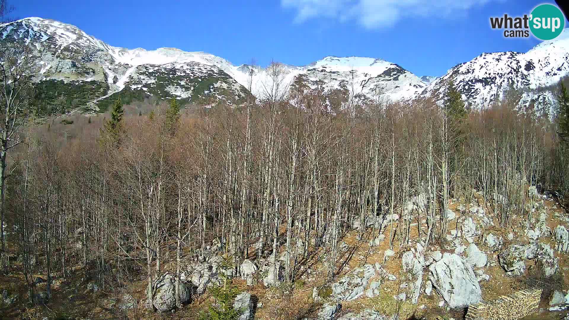 Webcam PLANINA RAZOR (1315) | Blick auf Vogel und Globoko