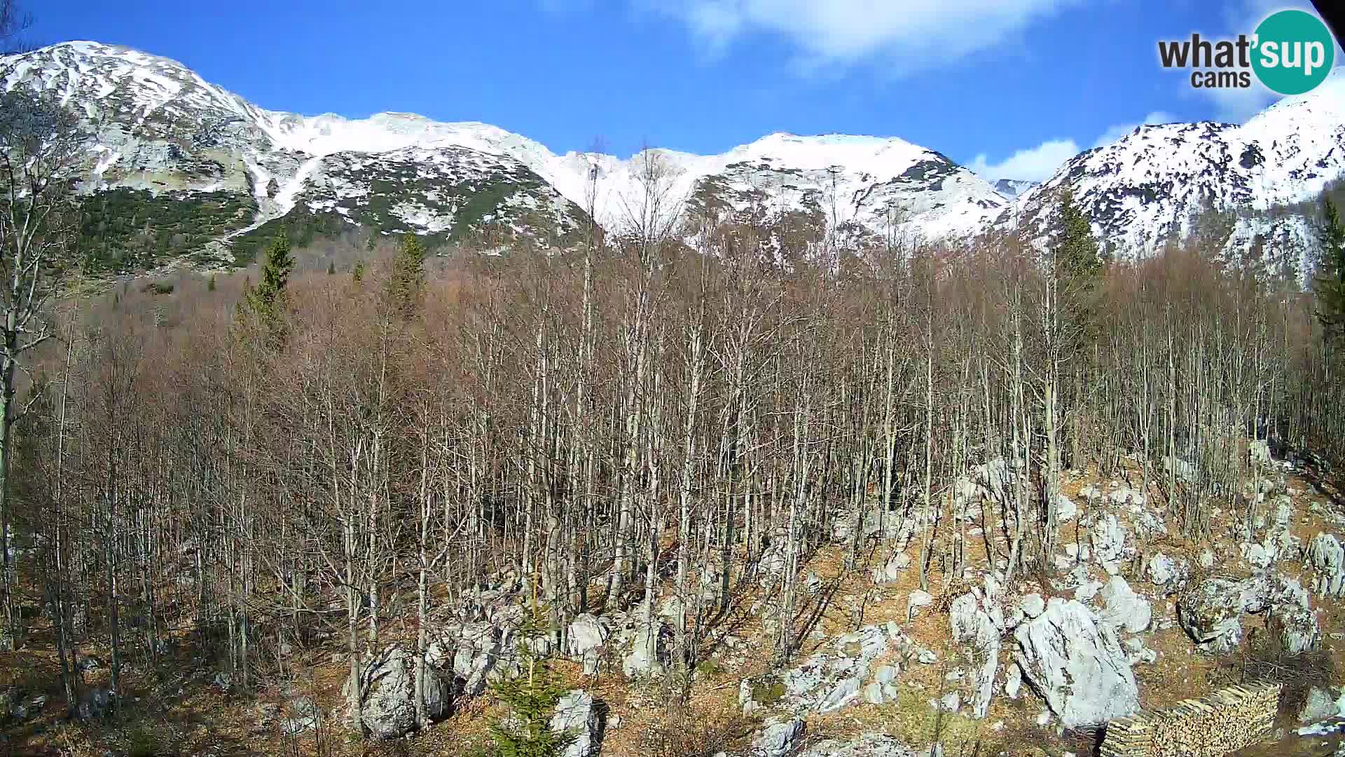 PLANINA RAZOR web kamera (1315) | pogled na Vogel i Globoko