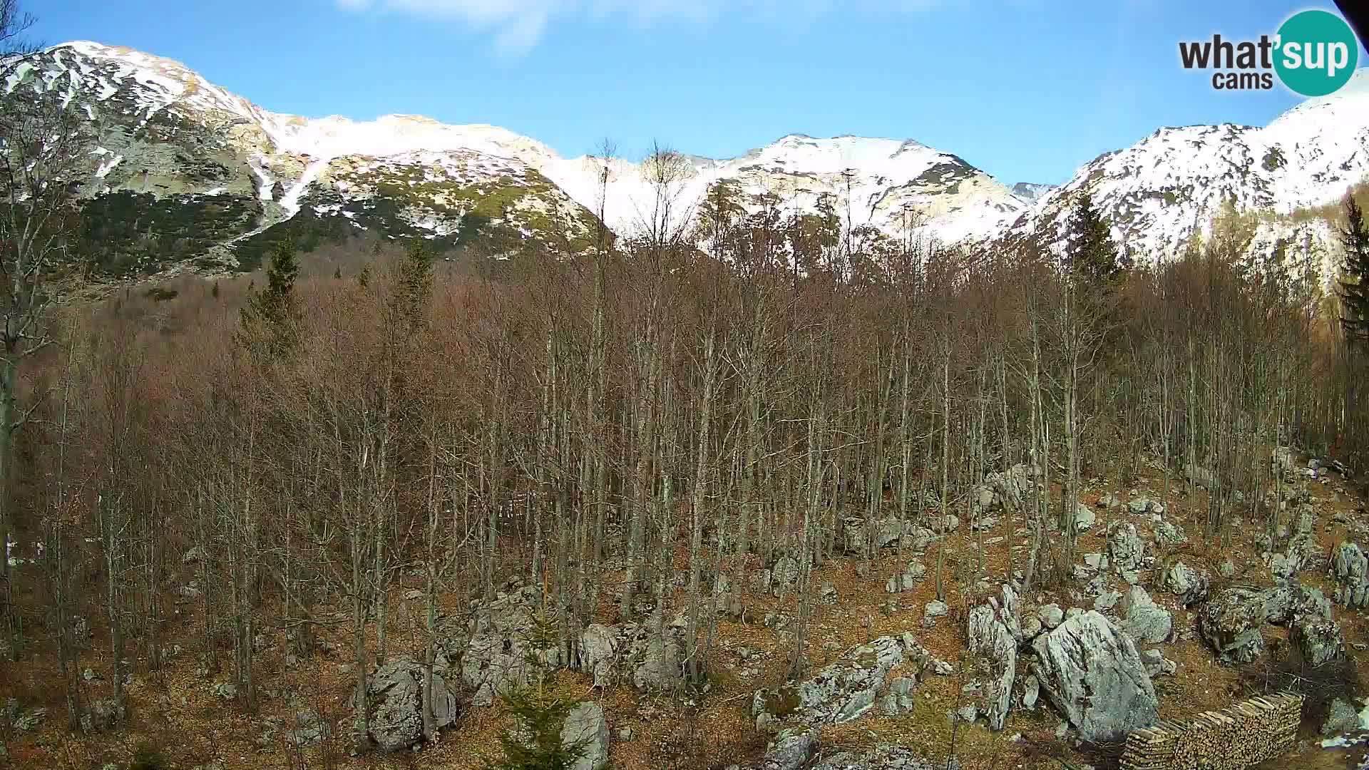 PLANINA RAZOR Live Cam (1315) | vista su Vogel e Globoko