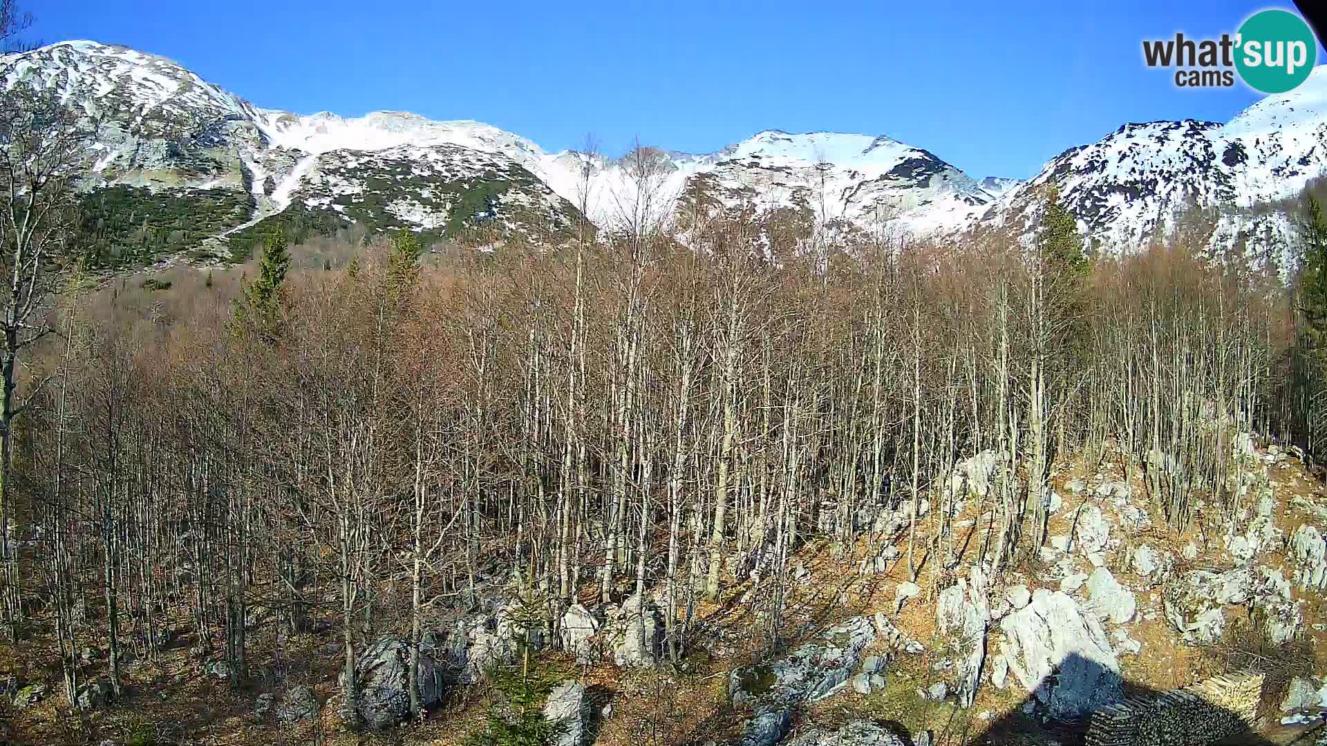 PLANINA RAZOR Live Cam (1315) | vista su Vogel e Globoko