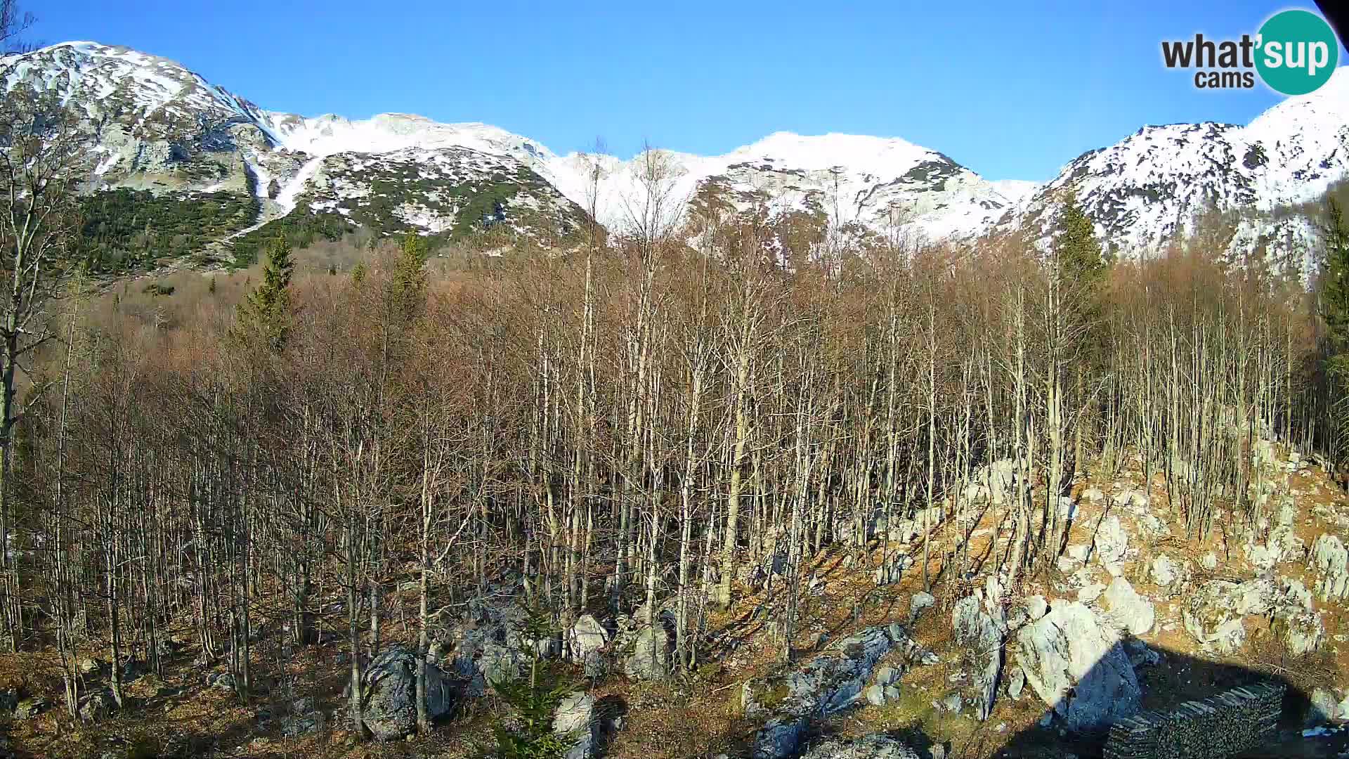PLANINA RAZOR kamera (1315) | pogled na Vogel in Globoko