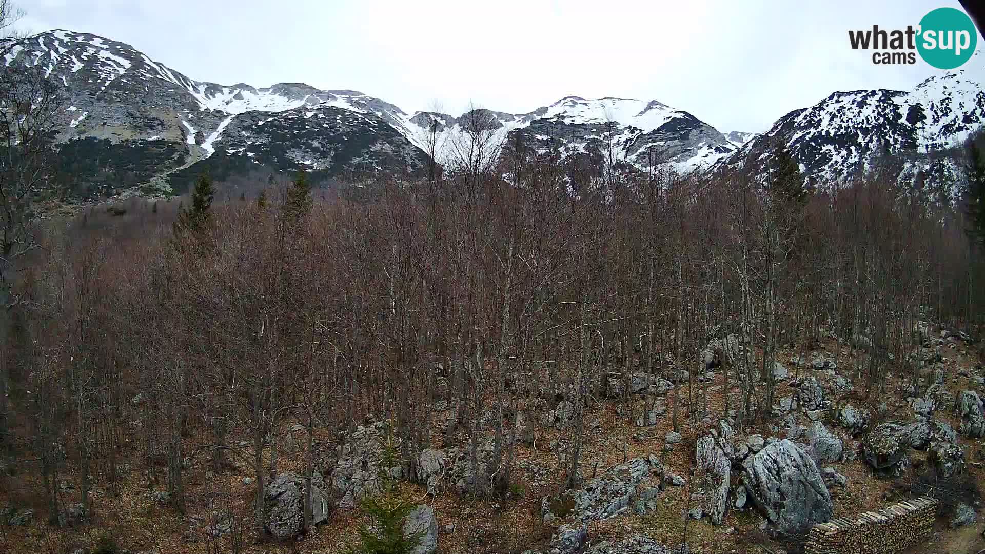 PLANINA RAZOR kamera (1315) | pogled na Vogel in Globoko