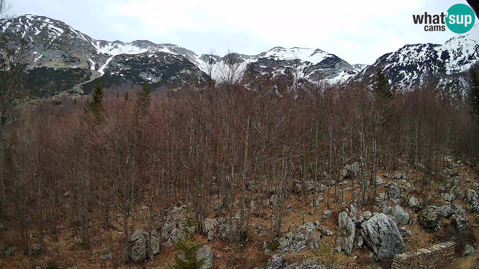 PLANINA RAZOR kamera (1315) | pogled na Vogel in Globoko