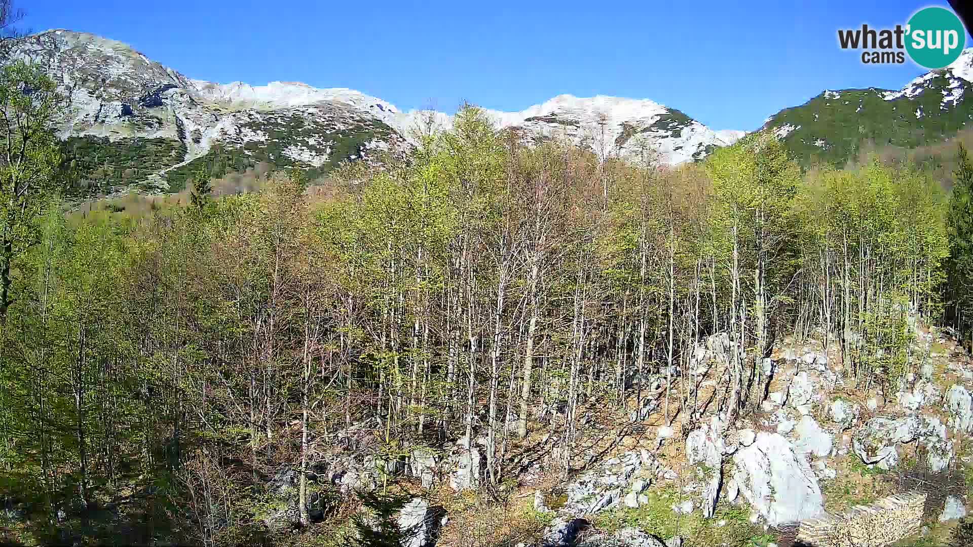 Cámara web PLANINA RAZOR (1315) | vista a Vogel y Globoko