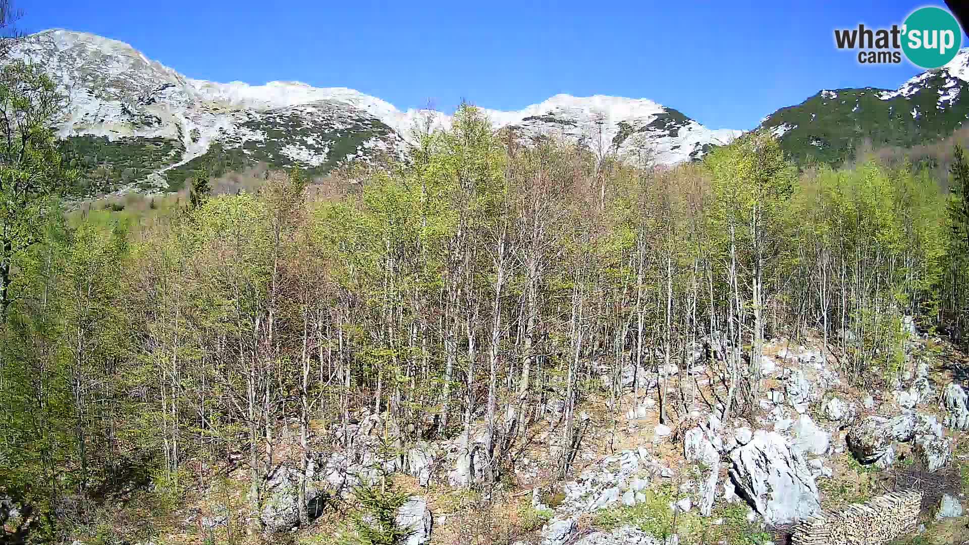 PLANINA RAZOR web kamera (1315) | pogled na Vogel i Globoko