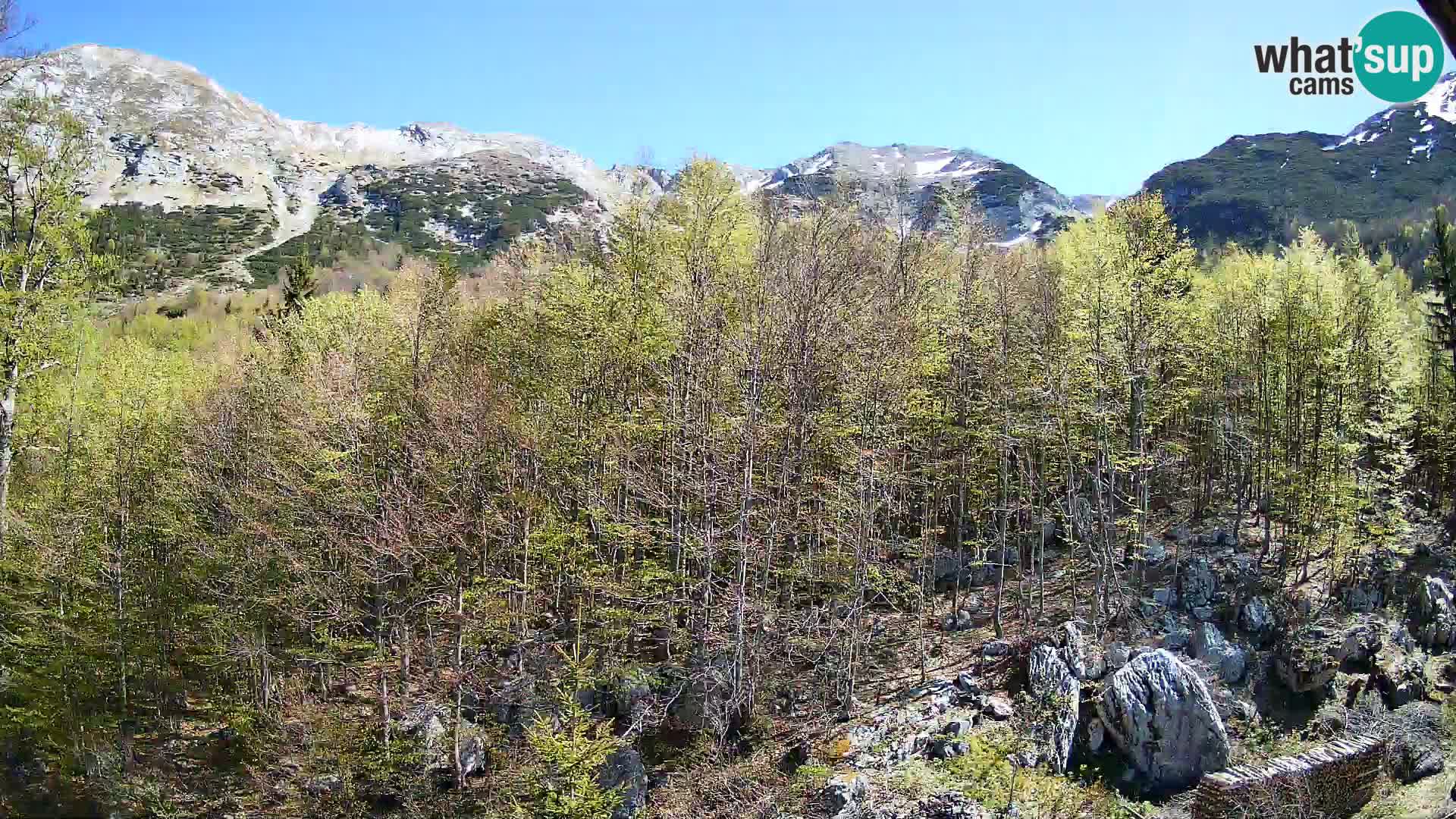 PLANINA RAZOR webcam (1315) | view to Vogel and Globoko