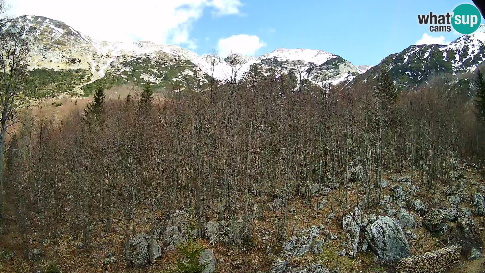 PLANINA RAZOR web kamera (1315) | pogled na Vogel i Globoko