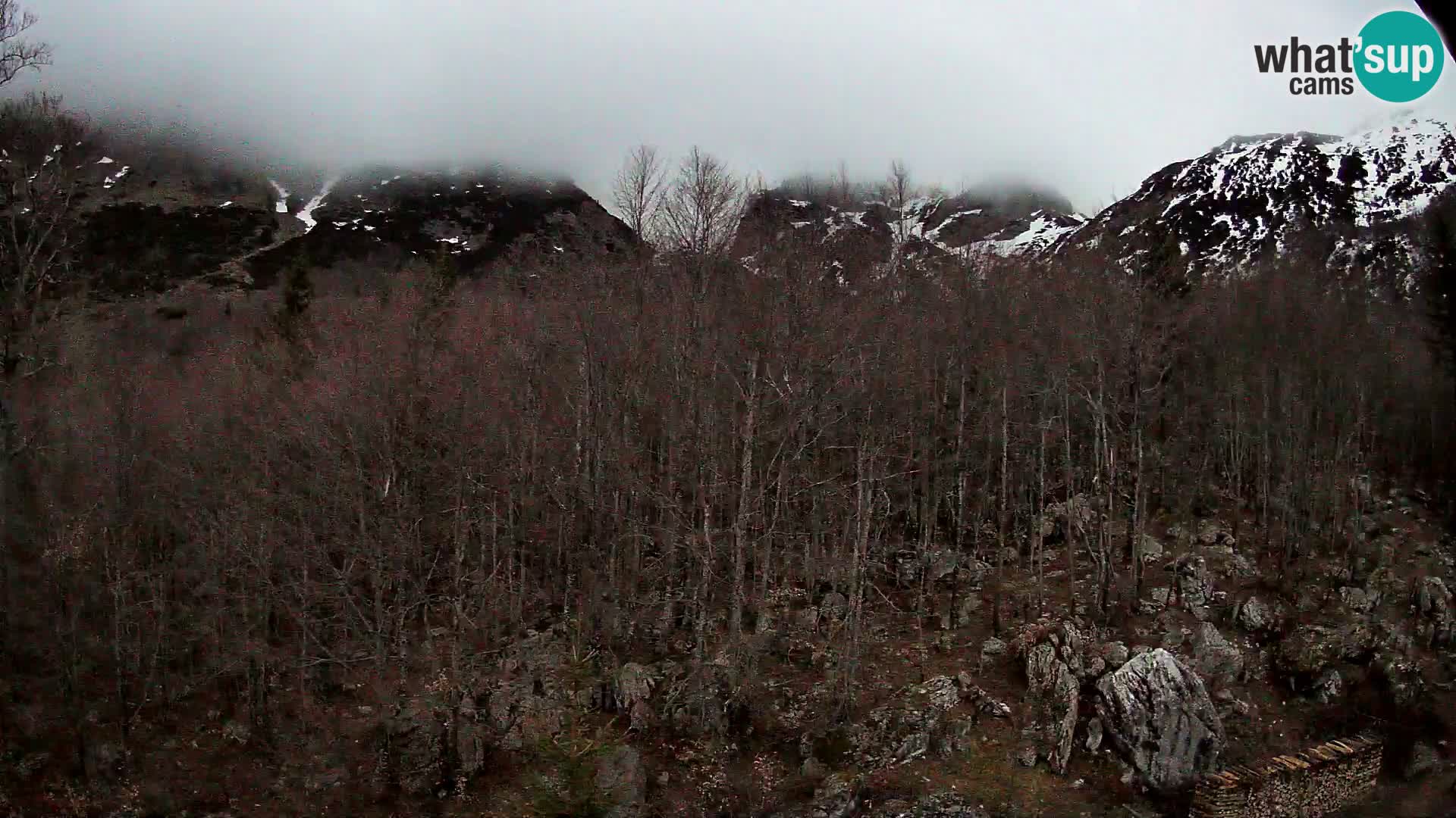 Livecam PLANINA RAZOR (1315) | vue sur Vogel et Globoko