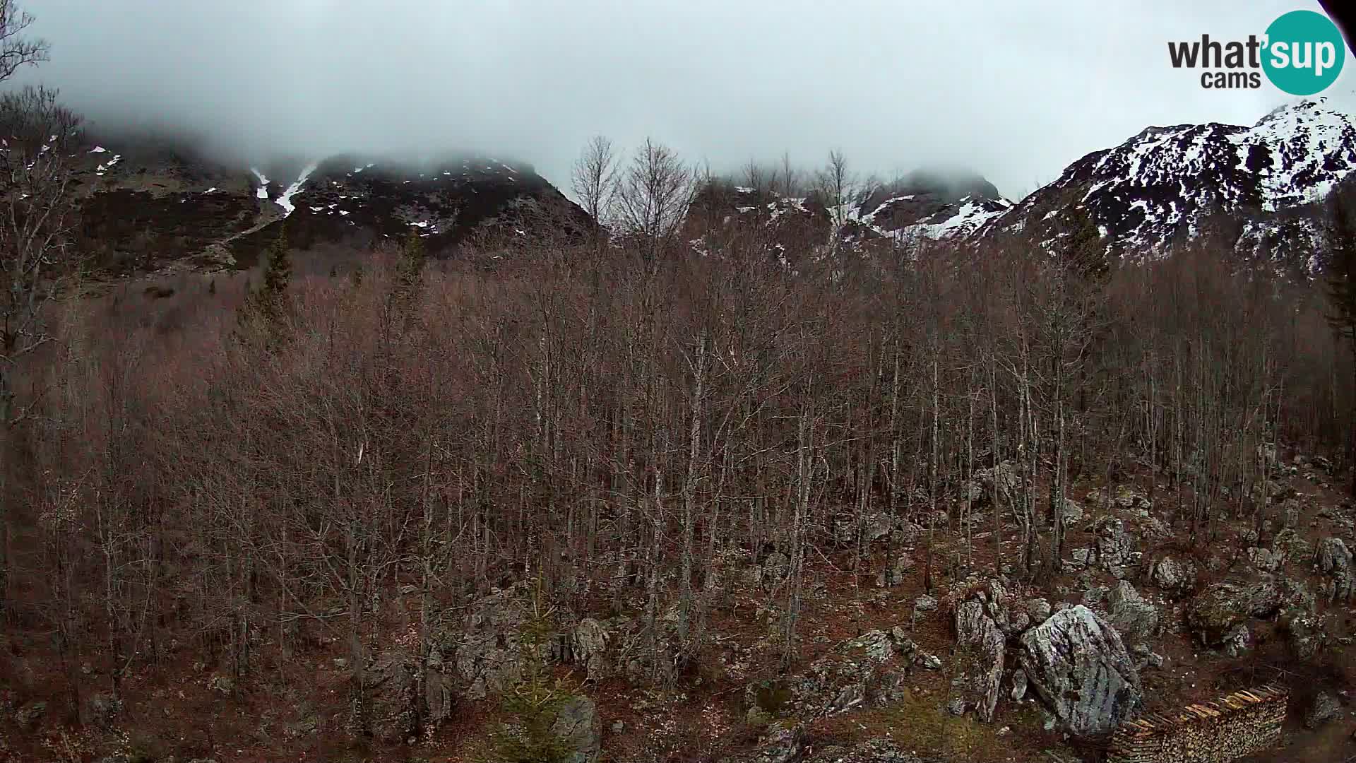 Livecam PLANINA RAZOR (1315) | vue sur Vogel et Globoko