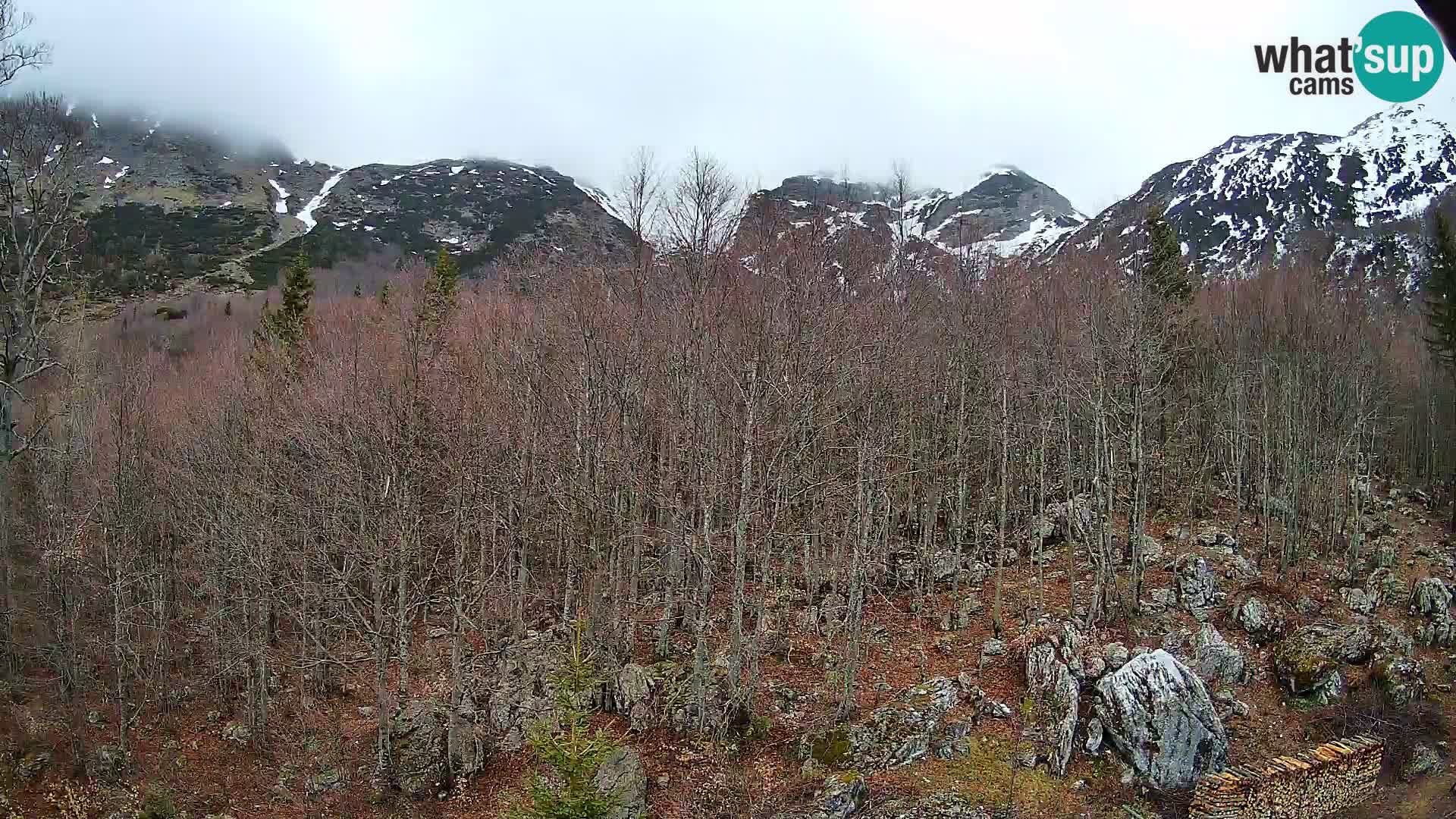 PLANINA RAZOR web kamera (1315) | pogled na Vogel i Globoko