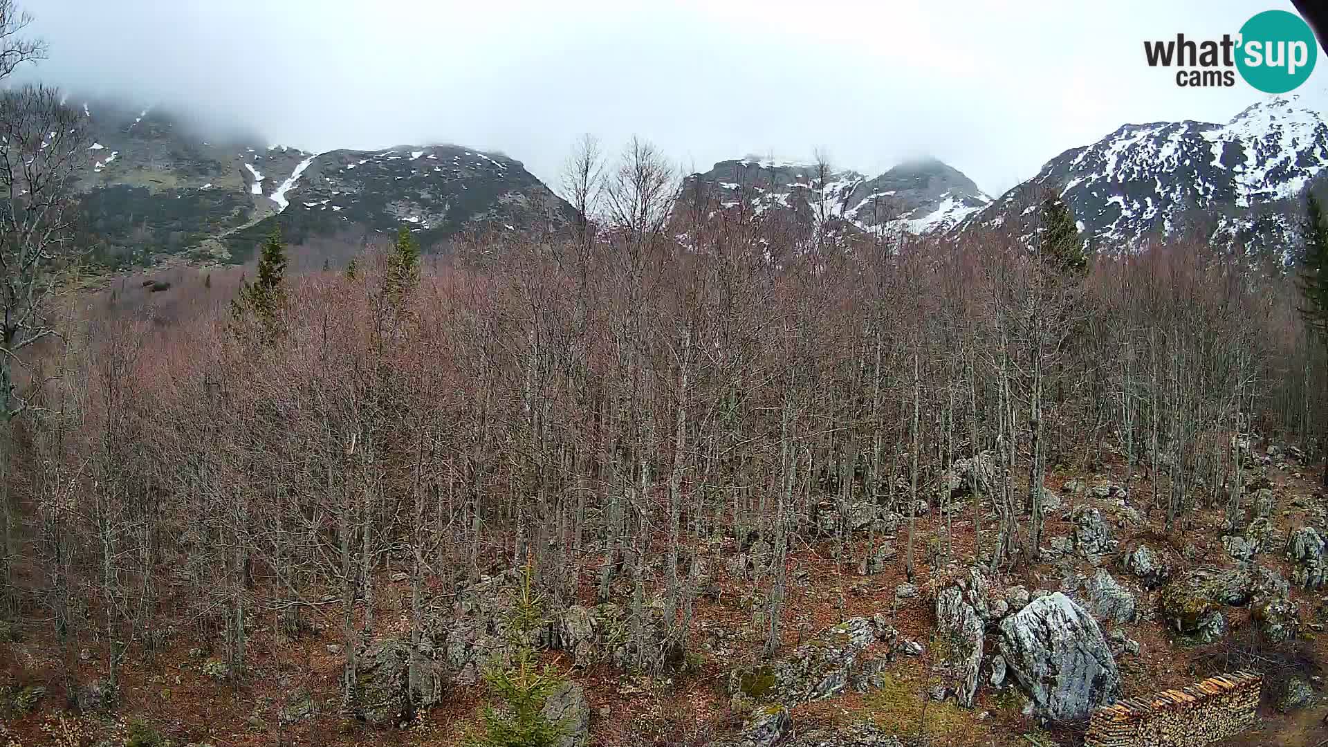 PLANINA RAZOR web kamera (1315) | pogled na Vogel i Globoko