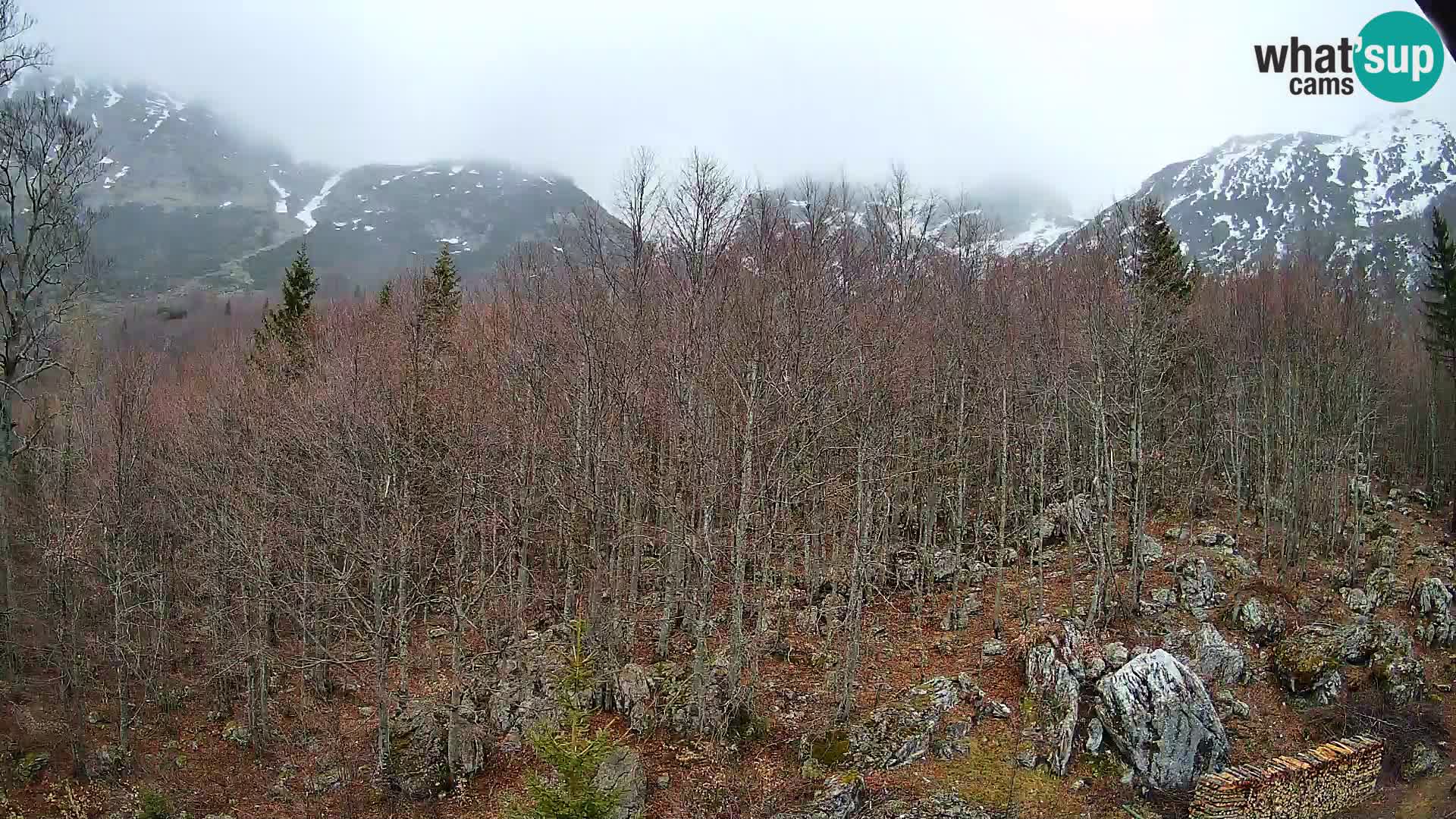 PLANINA RAZOR Live Cam (1315) | vista su Vogel e Globoko