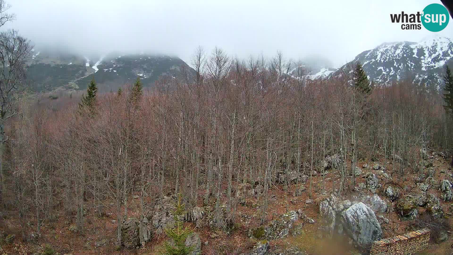 PLANINA RAZOR Live Cam (1315) | vista su Vogel e Globoko