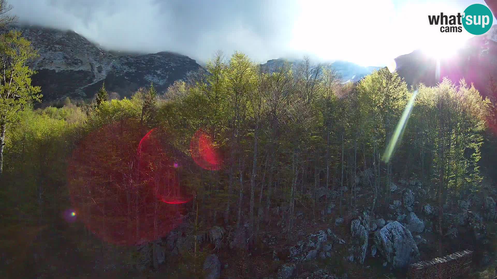 Livecam PLANINA RAZOR (1315) | vue sur Vogel et Globoko