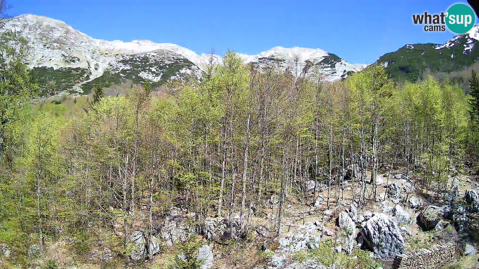 Livecam PLANINA RAZOR (1315) | vue sur Vogel et Globoko