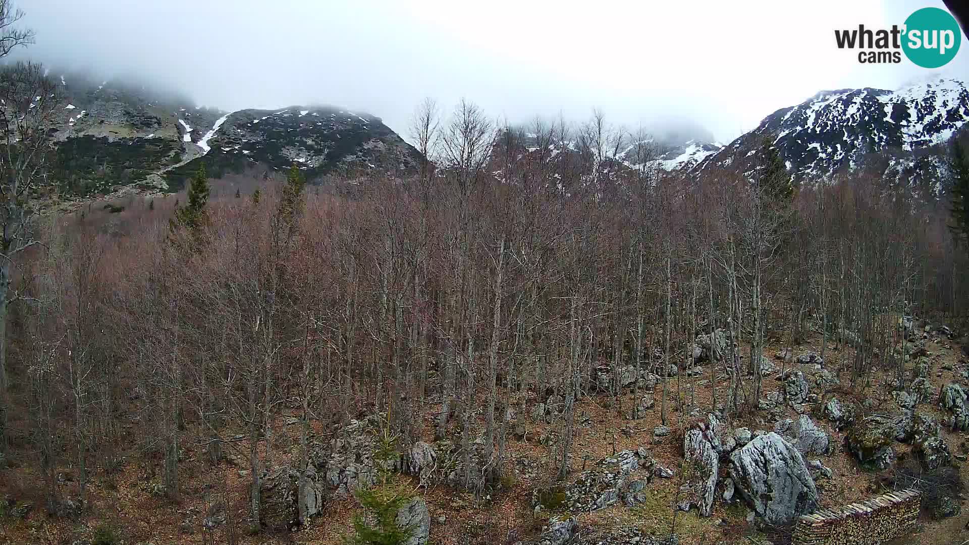 Webcam PLANINA RAZOR (1315) | Blick auf Vogel und Globoko