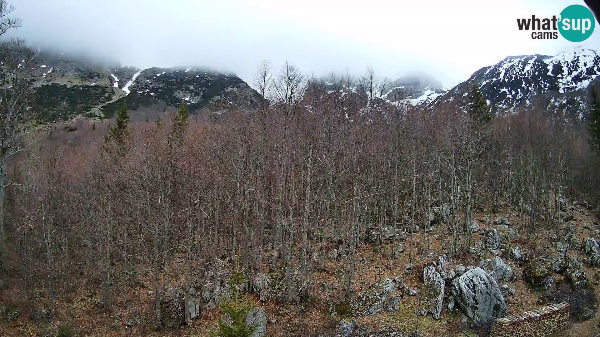 PLANINA RAZOR webcam (1315) | view to Vogel and Globoko