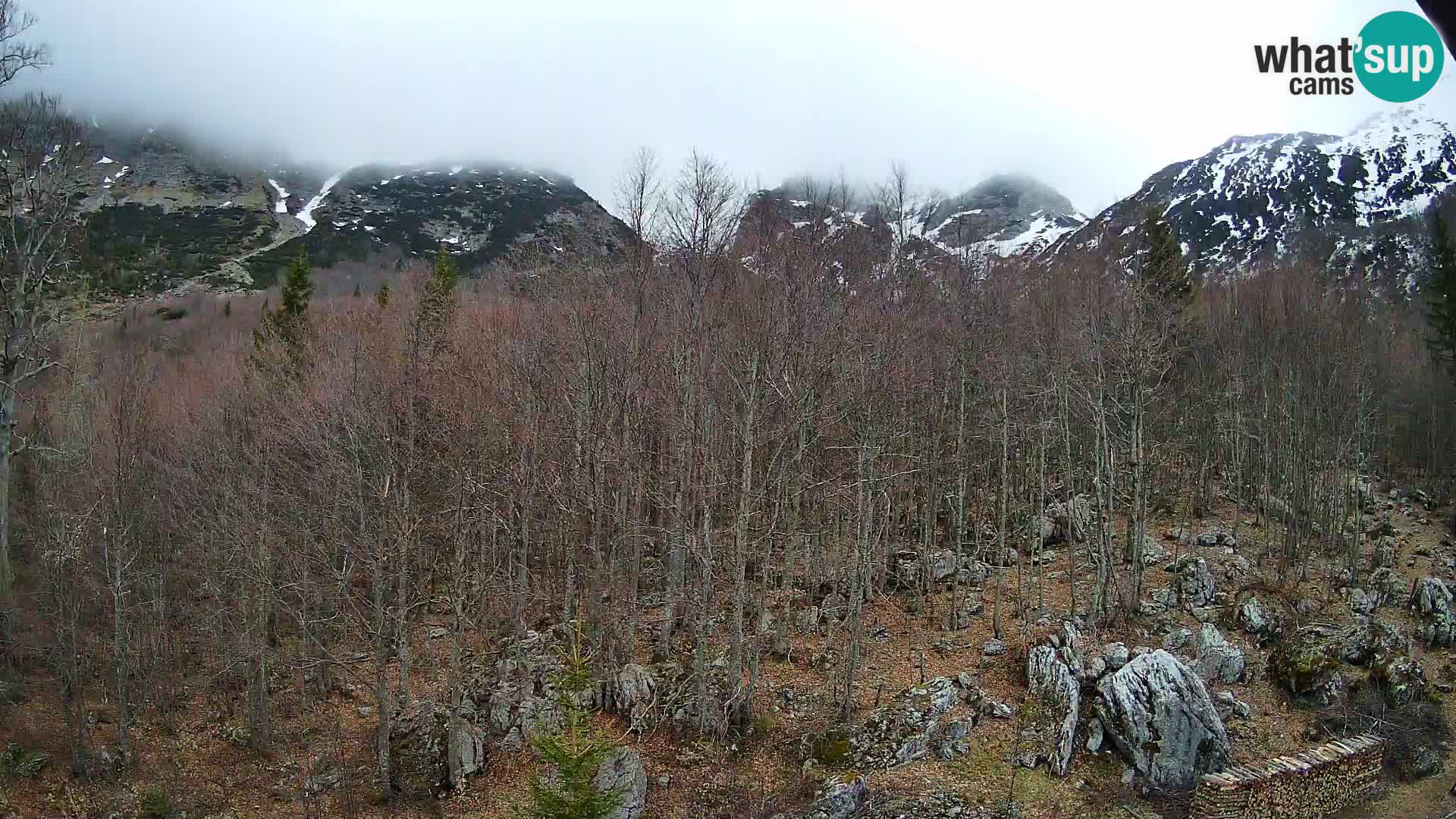 Livecam PLANINA RAZOR (1315) | vue sur Vogel et Globoko