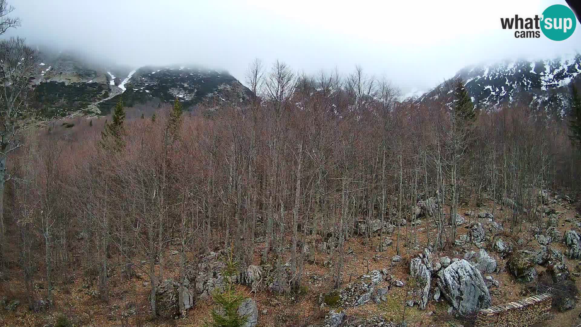 Cámara web PLANINA RAZOR (1315) | vista a Vogel y Globoko