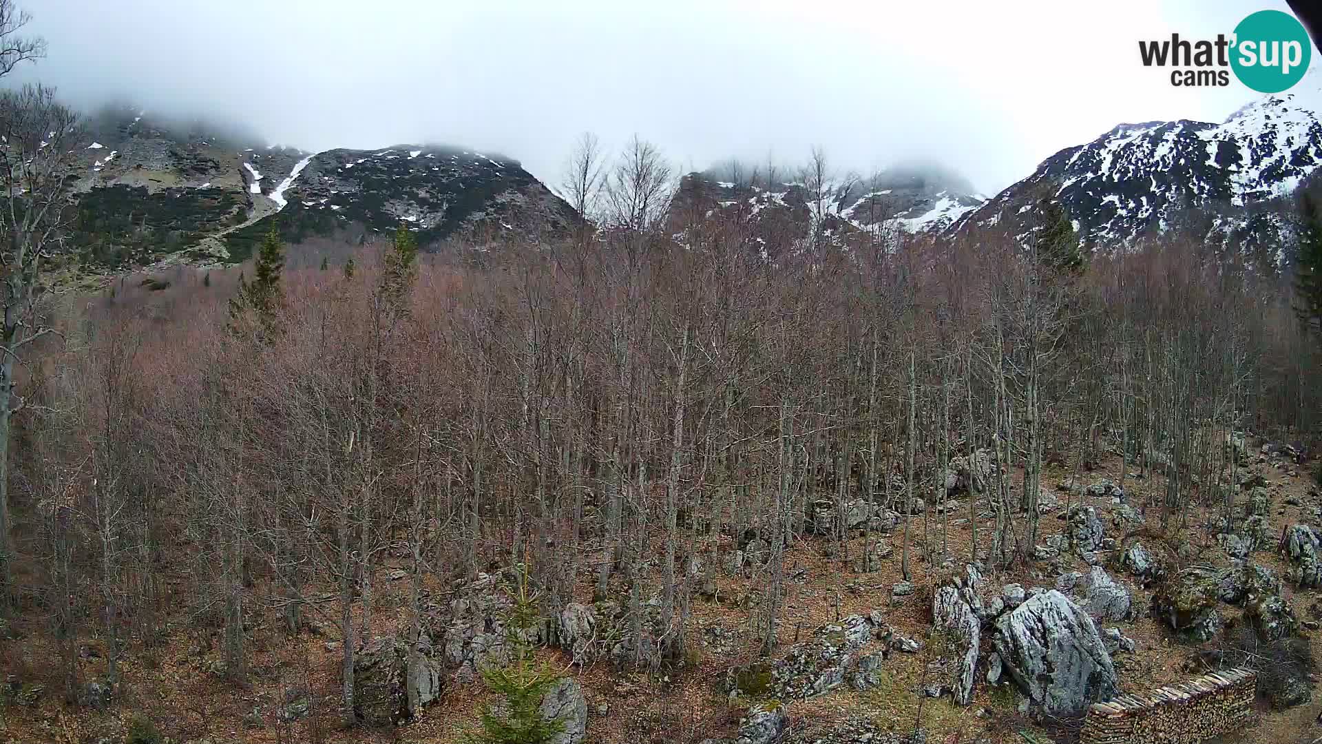 PLANINA RAZOR web kamera (1315) | pogled na Vogel i Globoko
