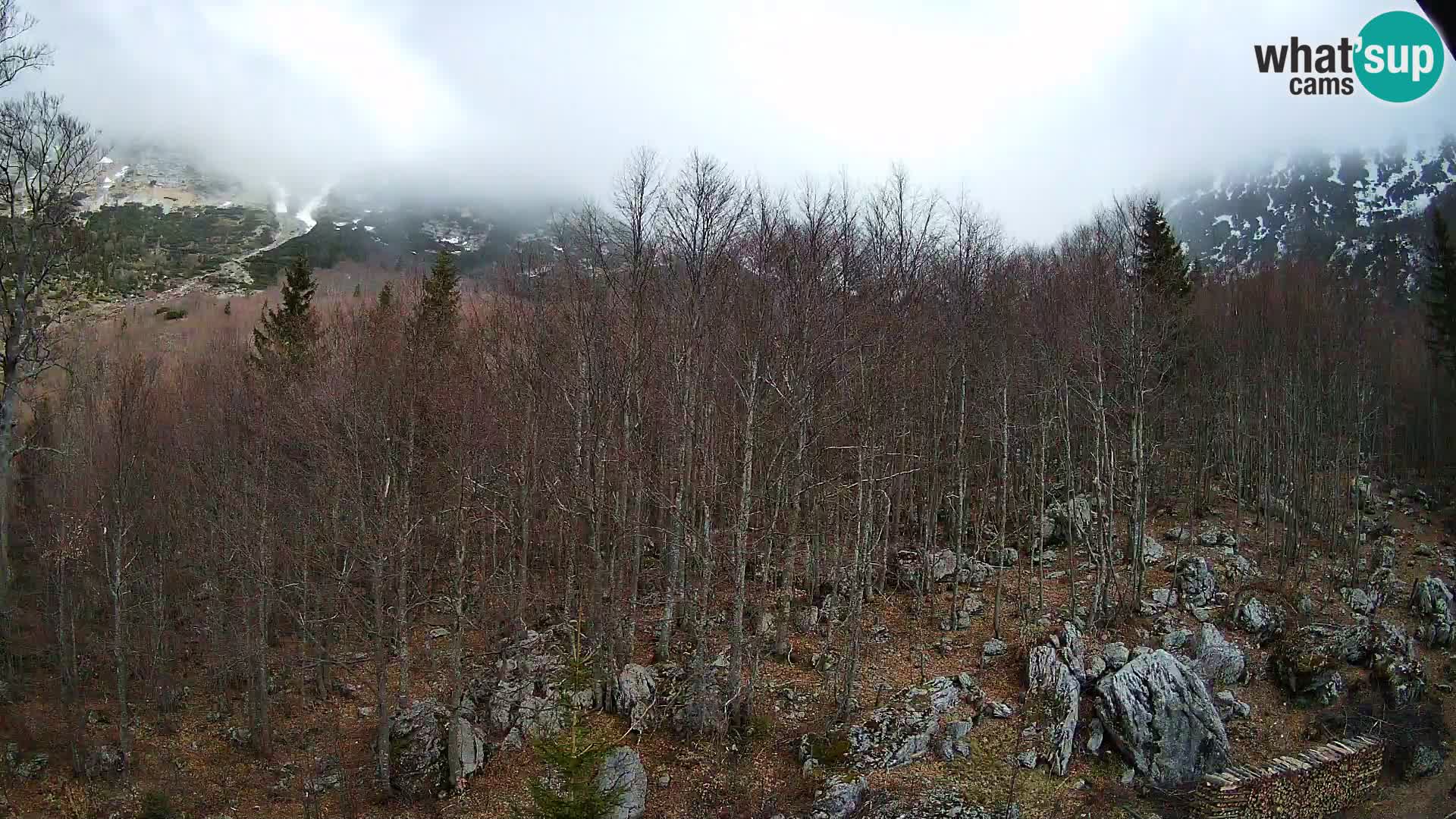 PLANINA RAZOR web kamera (1315) | pogled na Vogel i Globoko