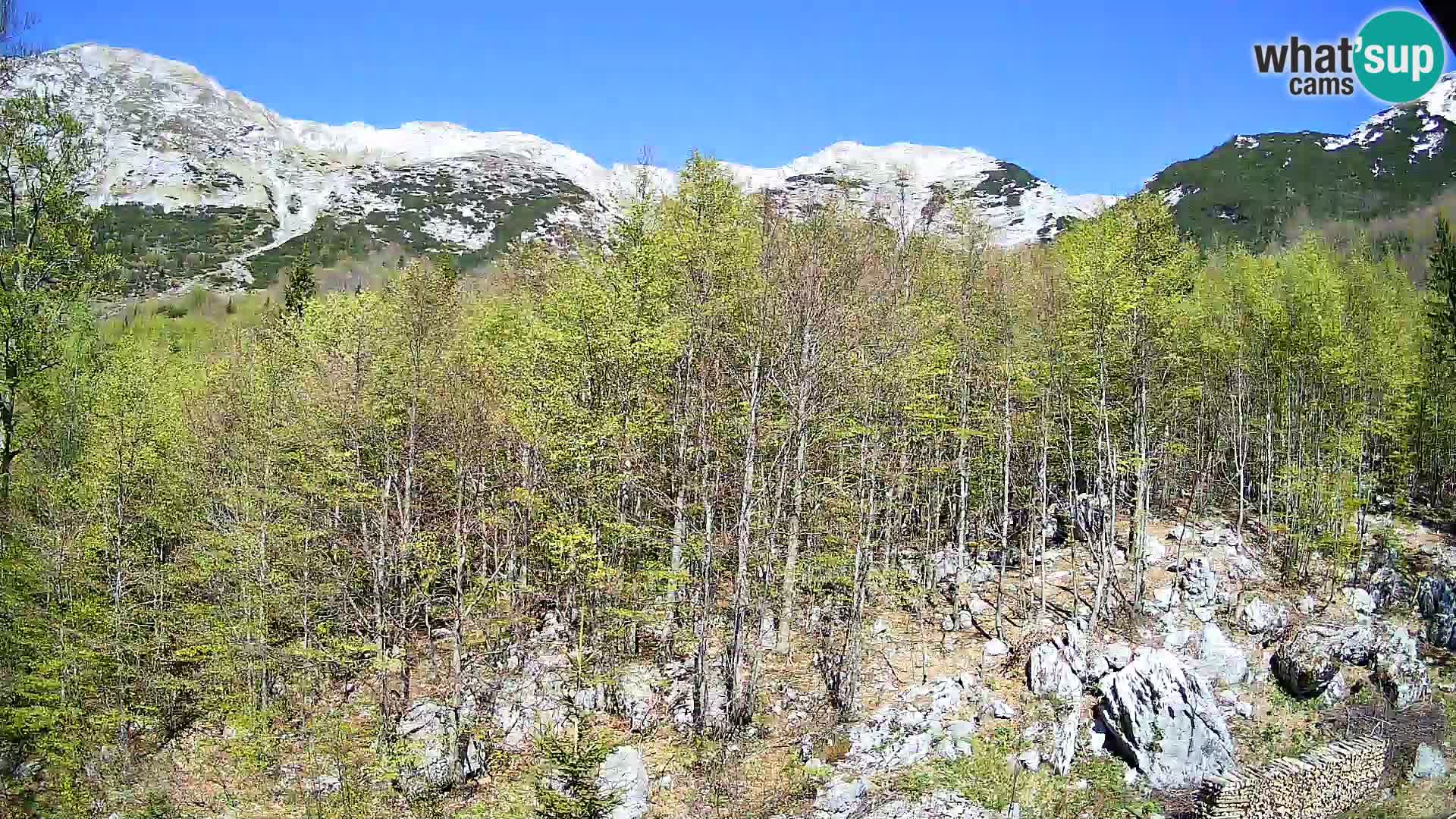 Webcam PLANINA RAZOR (1315) | Blick auf Vogel und Globoko
