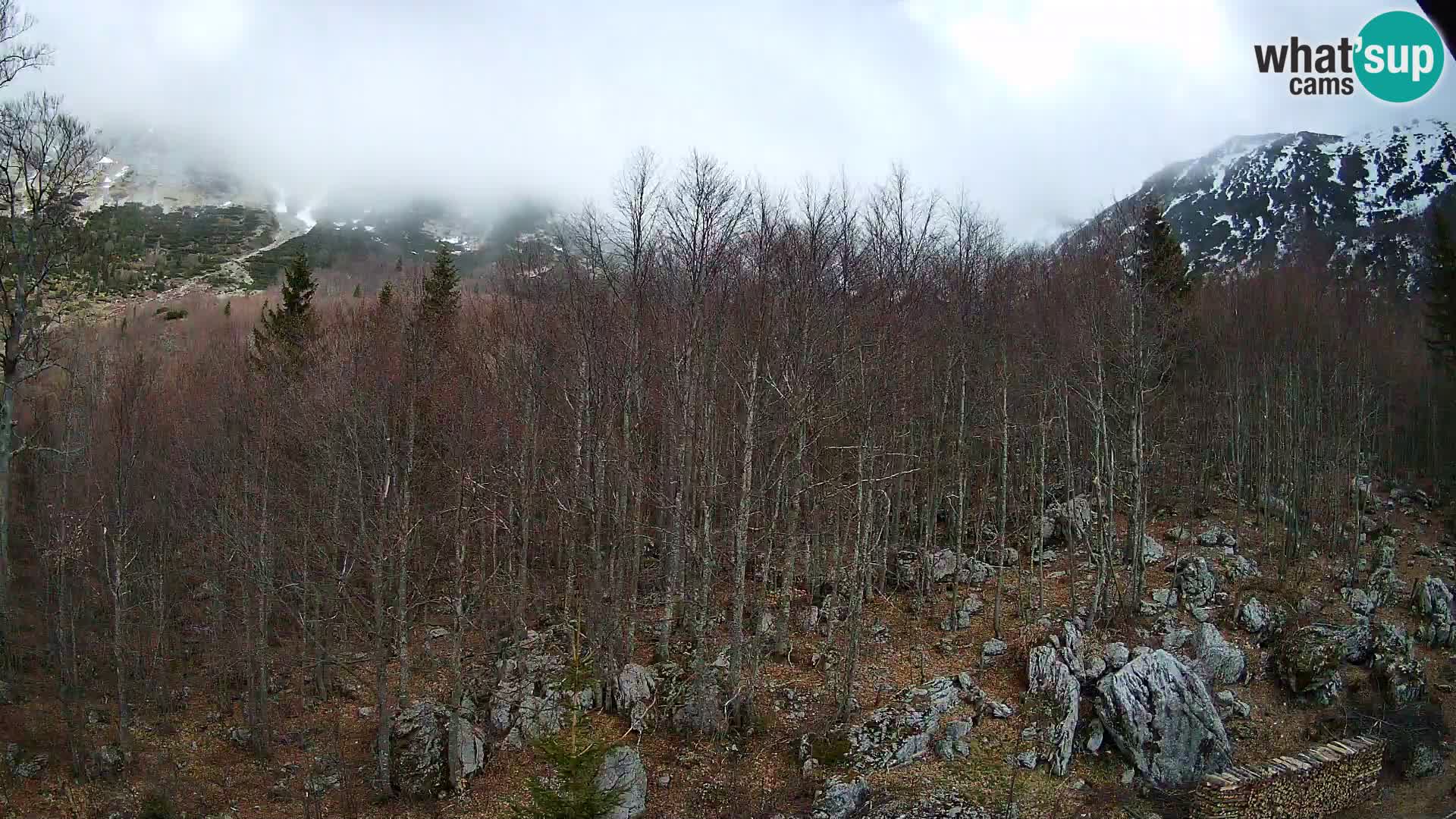 PLANINA RAZOR kamera (1315) | pogled na Vogel in Globoko