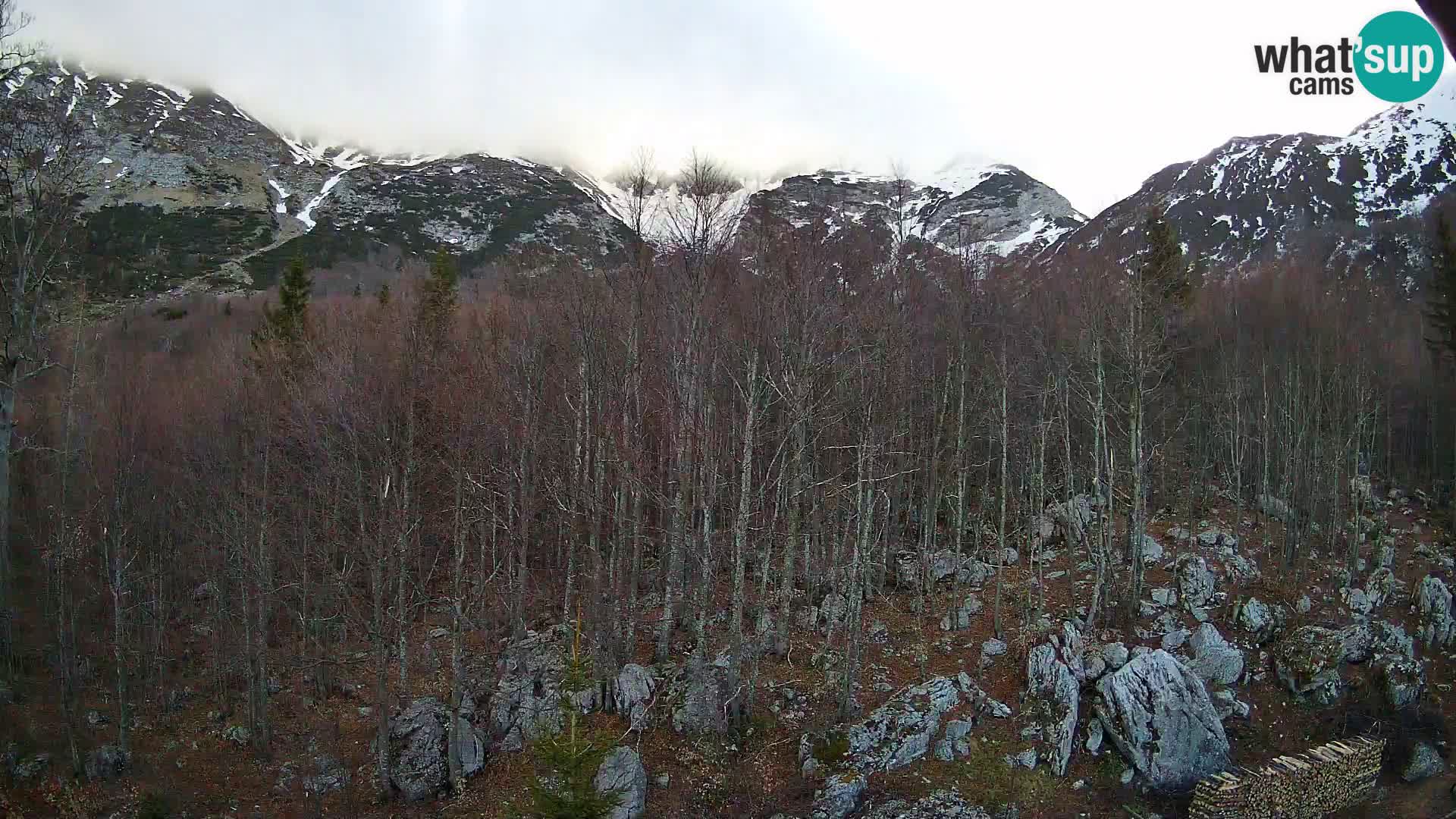 PLANINA RAZOR webcam (1315) | view to Vogel and Globoko