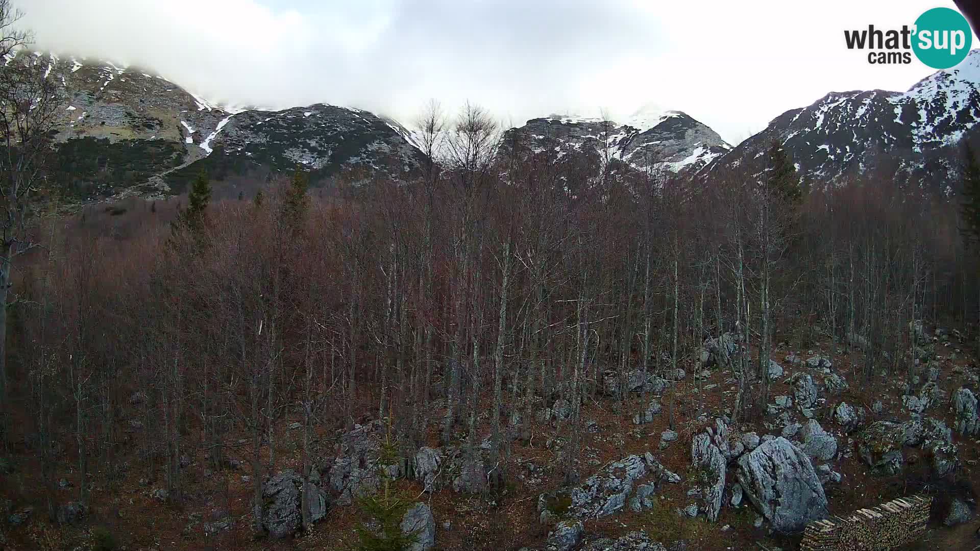 PLANINA RAZOR webcam (1315) | view to Vogel and Globoko