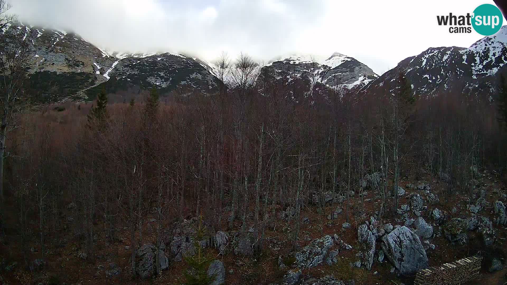 PLANINA RAZOR kamera (1315) | pogled na Vogel in Globoko