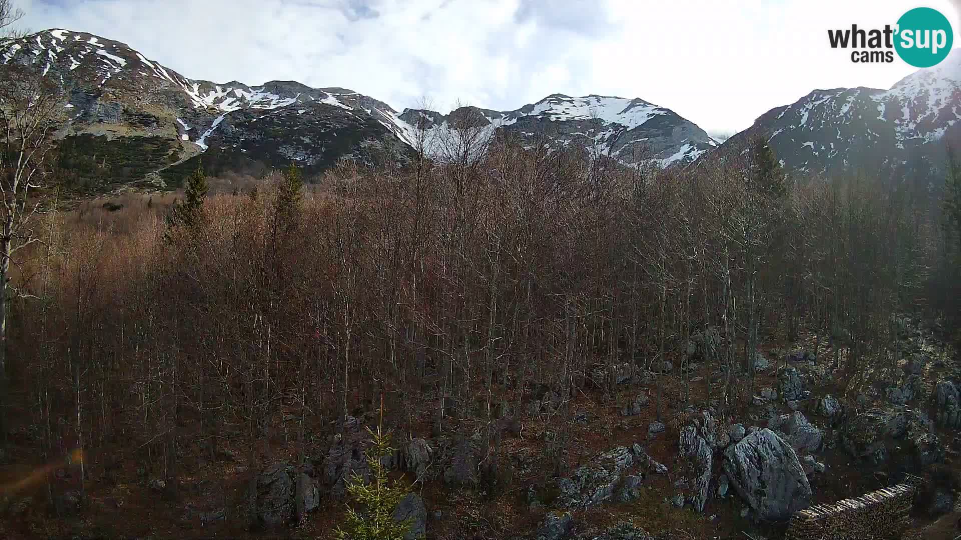 Livecam PLANINA RAZOR (1315) | vue sur Vogel et Globoko