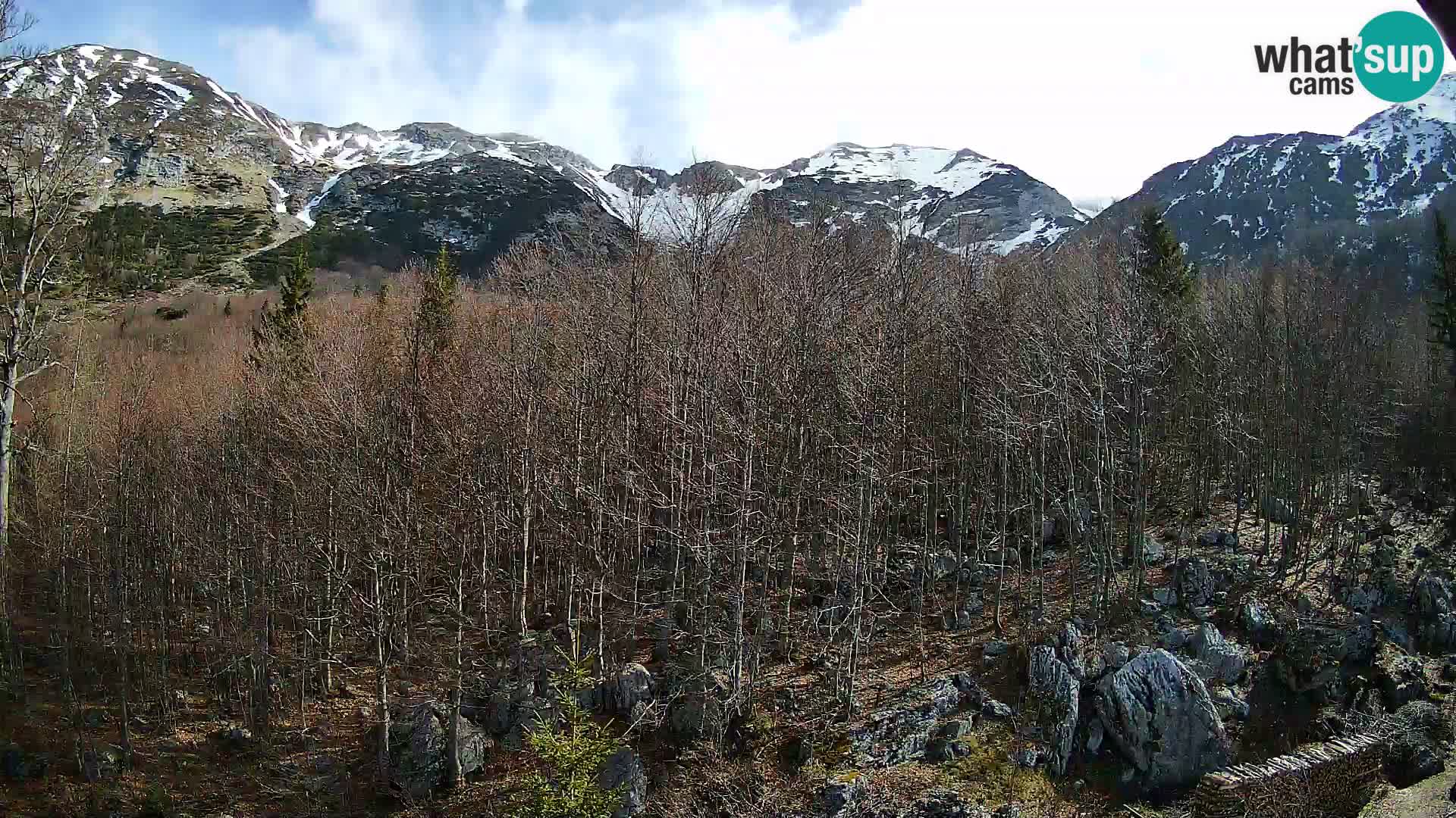 PLANINA RAZOR kamera (1315) | pogled na Vogel in Globoko
