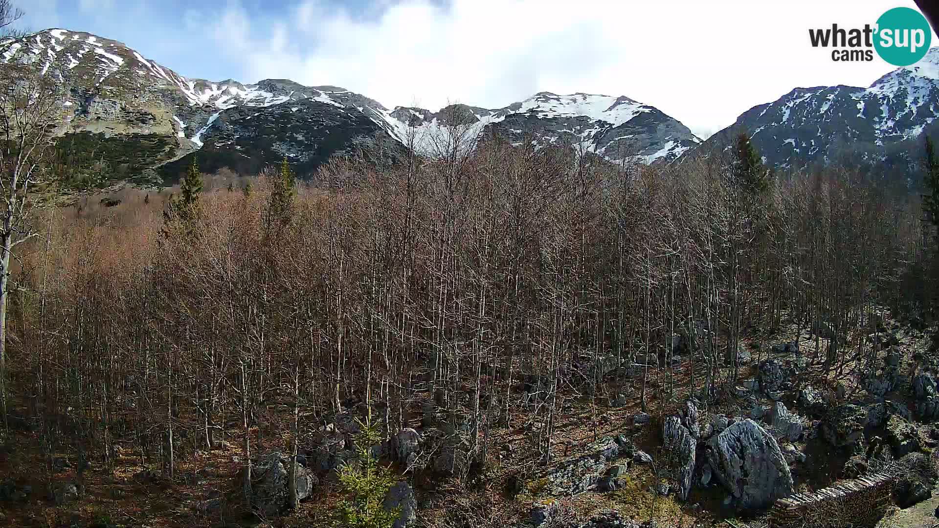 PLANINA RAZOR webcam (1315) | view to Vogel and Globoko