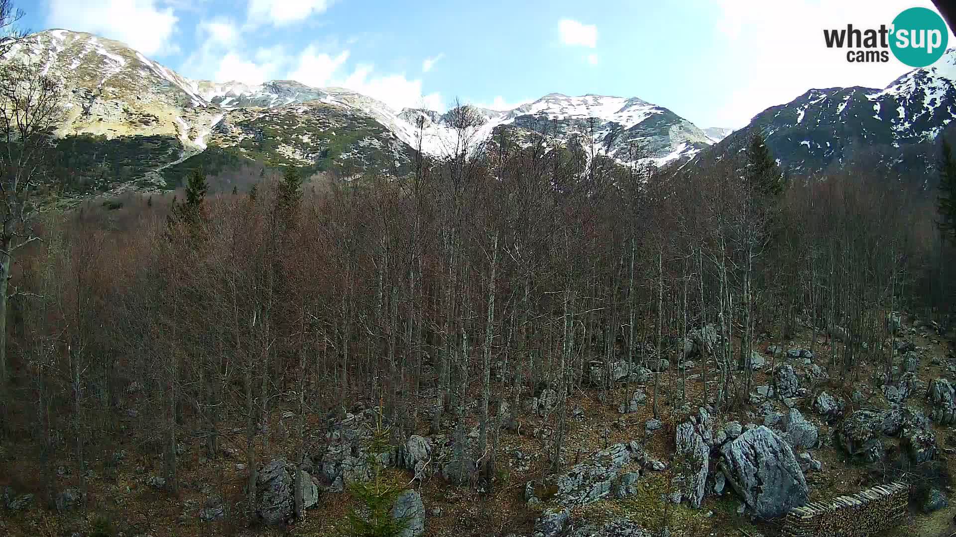 PLANINA RAZOR kamera (1315) | pogled na Vogel in Globoko