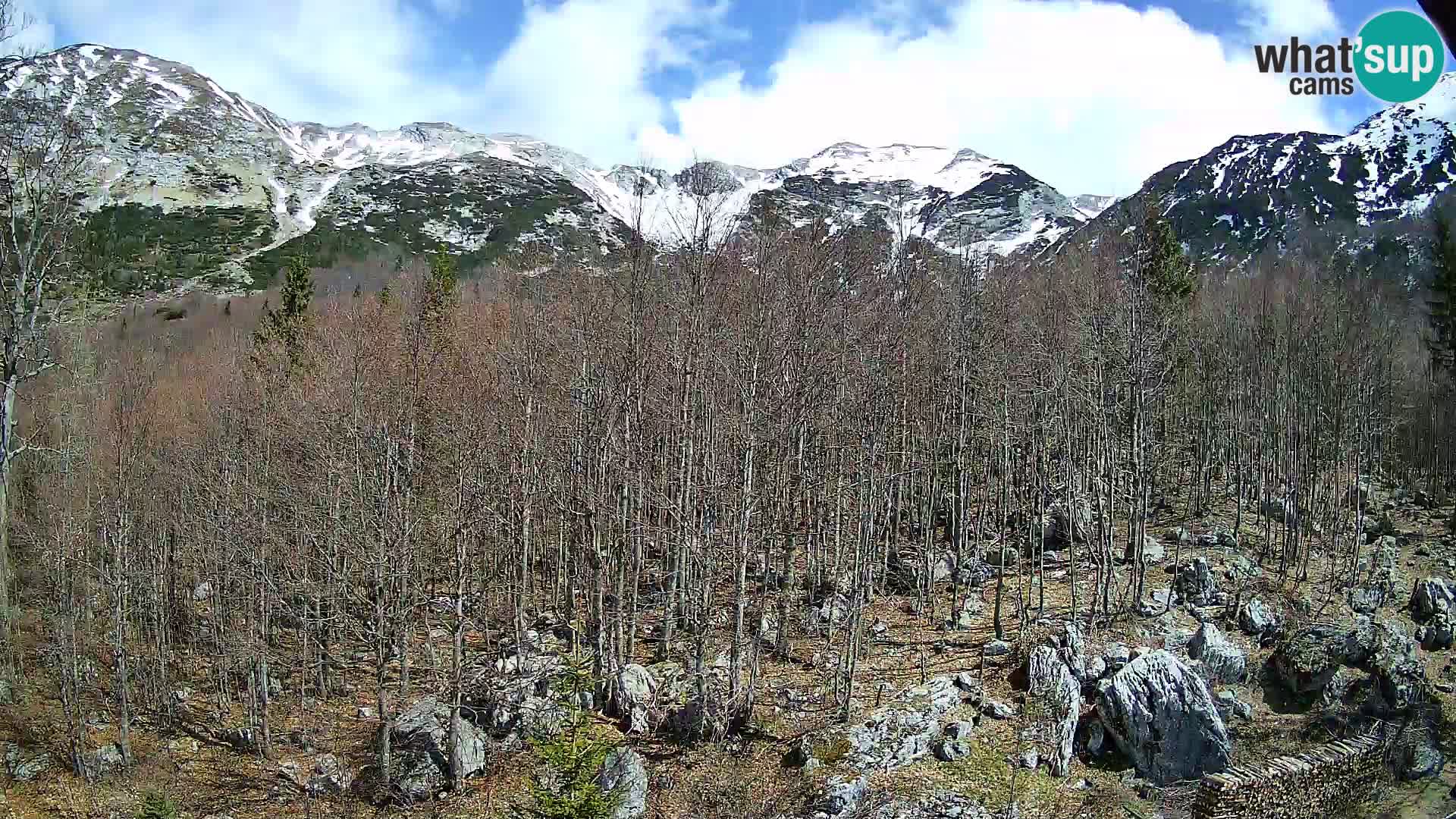 Cámara web PLANINA RAZOR (1315) | vista a Vogel y Globoko