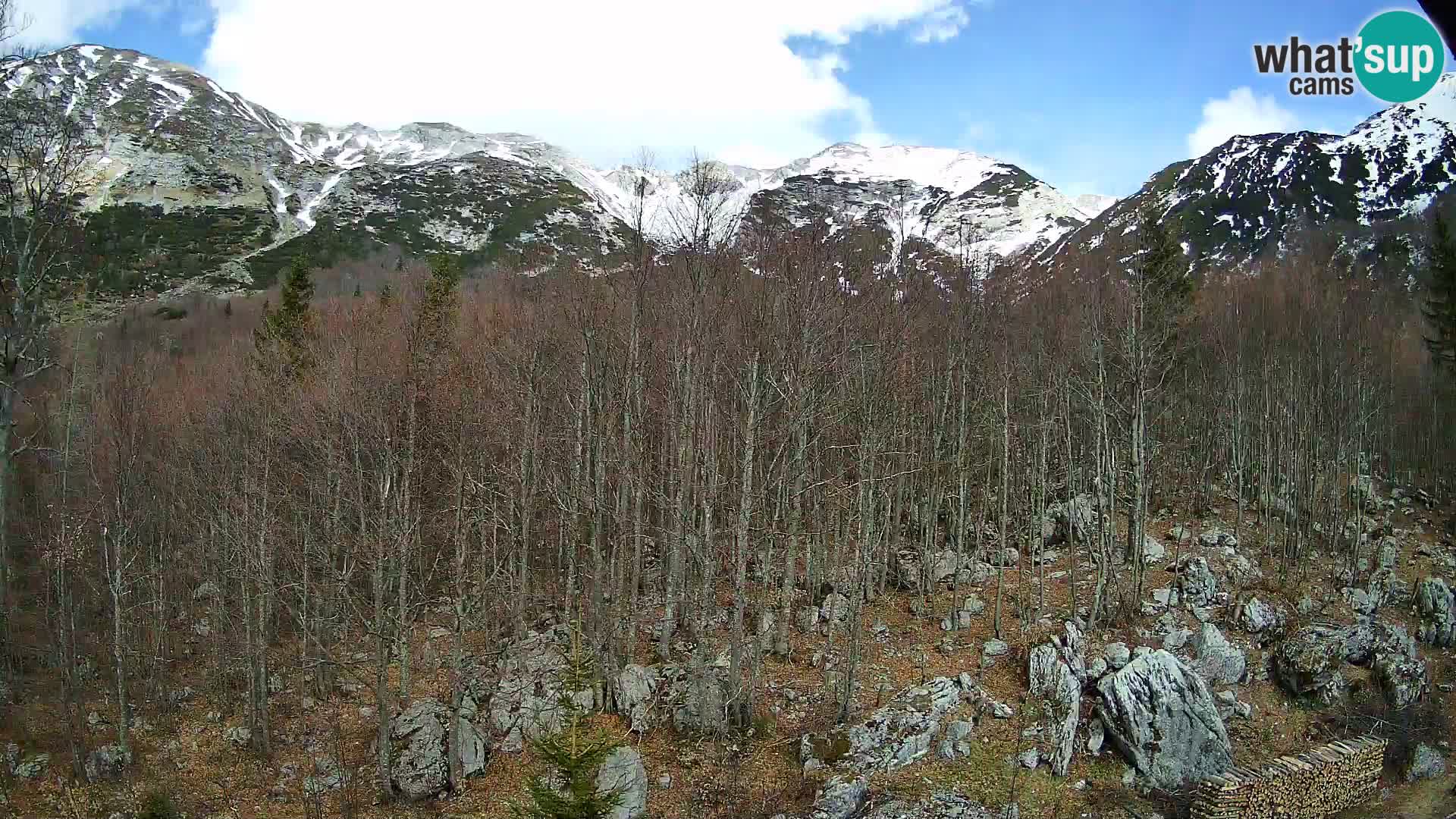 PLANINA RAZOR Live Cam (1315) | vista su Vogel e Globoko