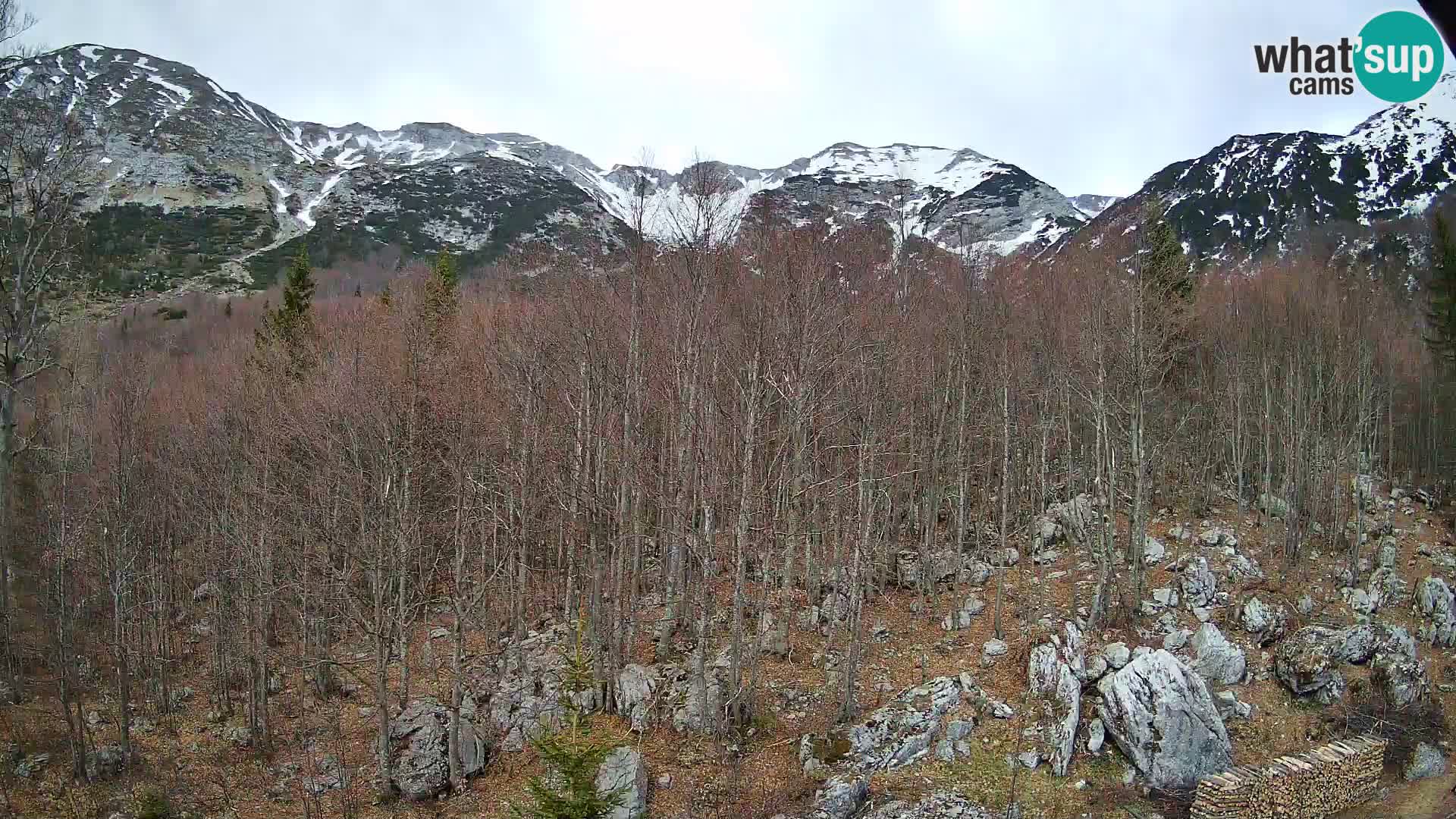 PLANINA RAZOR Live Cam (1315) | vista su Vogel e Globoko