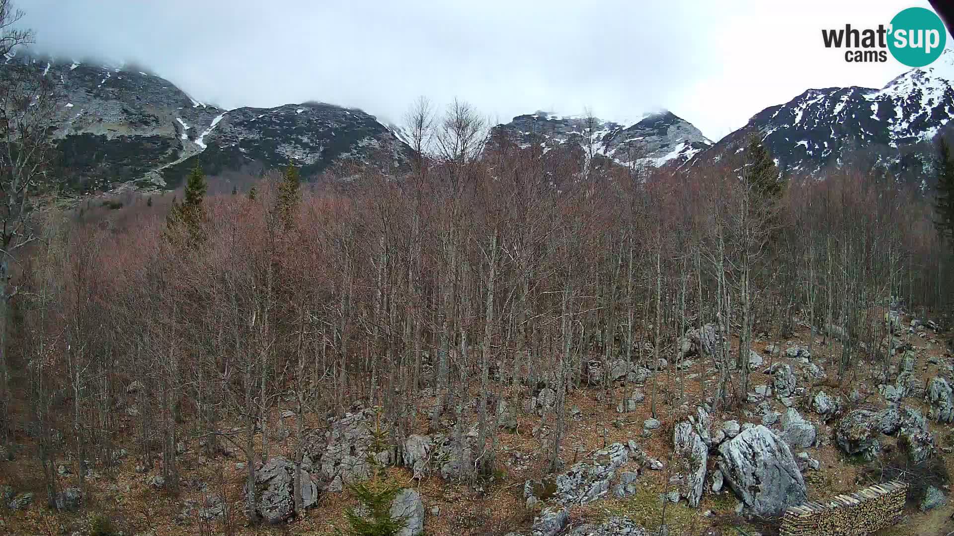 PLANINA RAZOR webcam (1315) | view to Vogel and Globoko