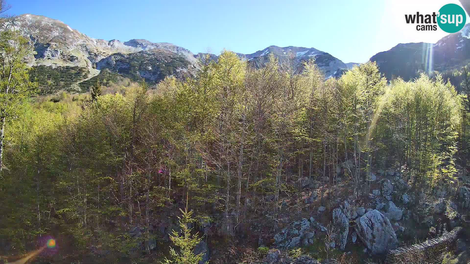 PLANINA RAZOR kamera (1315) | pogled na Vogel in Globoko
