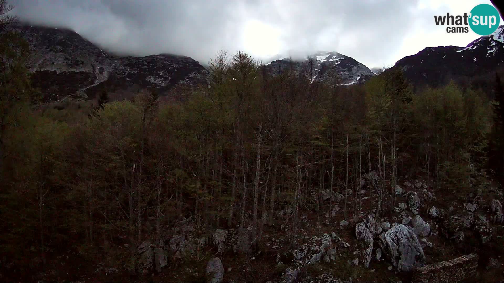 PLANINA RAZOR web kamera (1315) | pogled na Vogel i Globoko