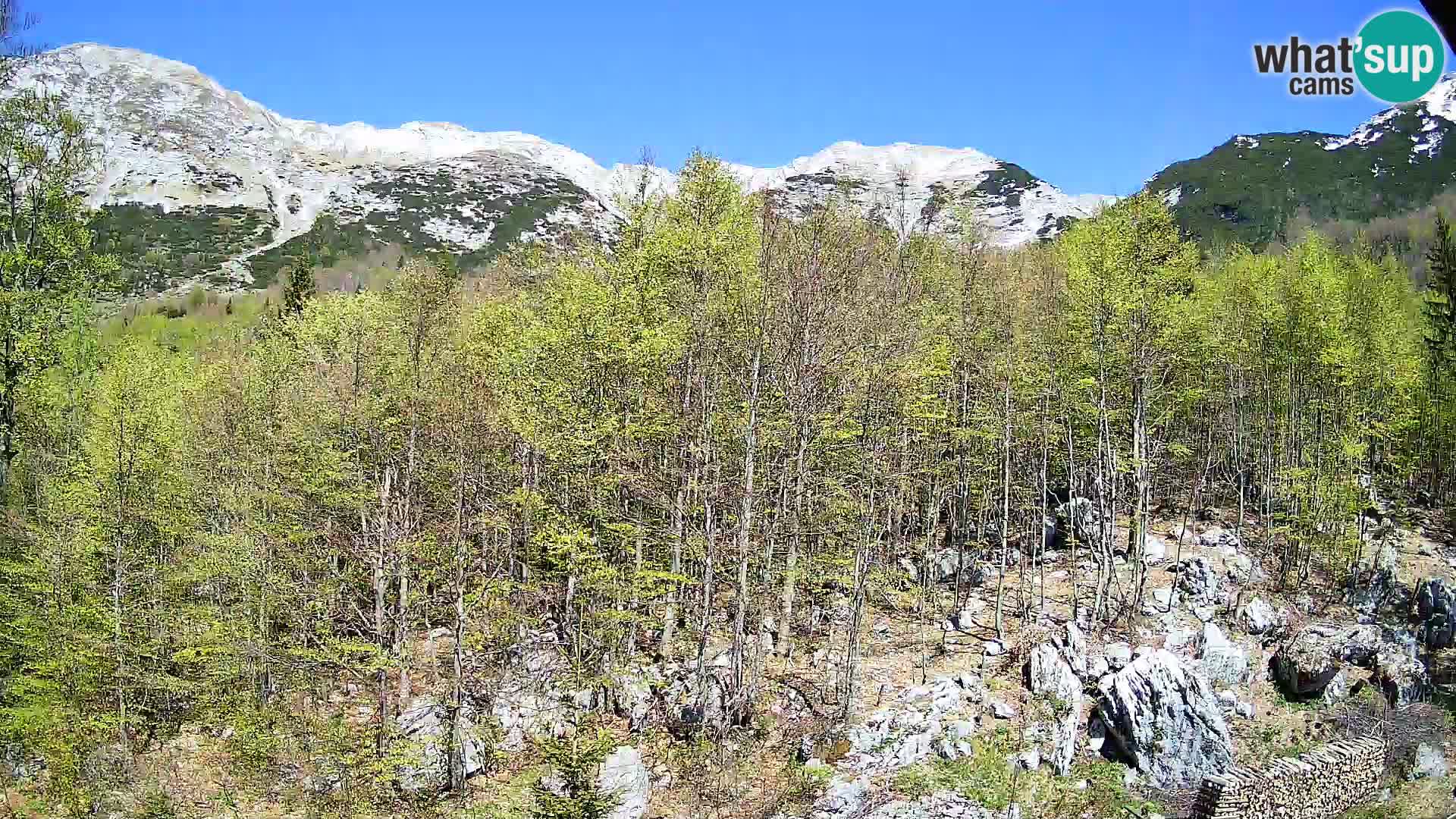 PLANINA RAZOR webcam (1315) | view to Vogel and Globoko