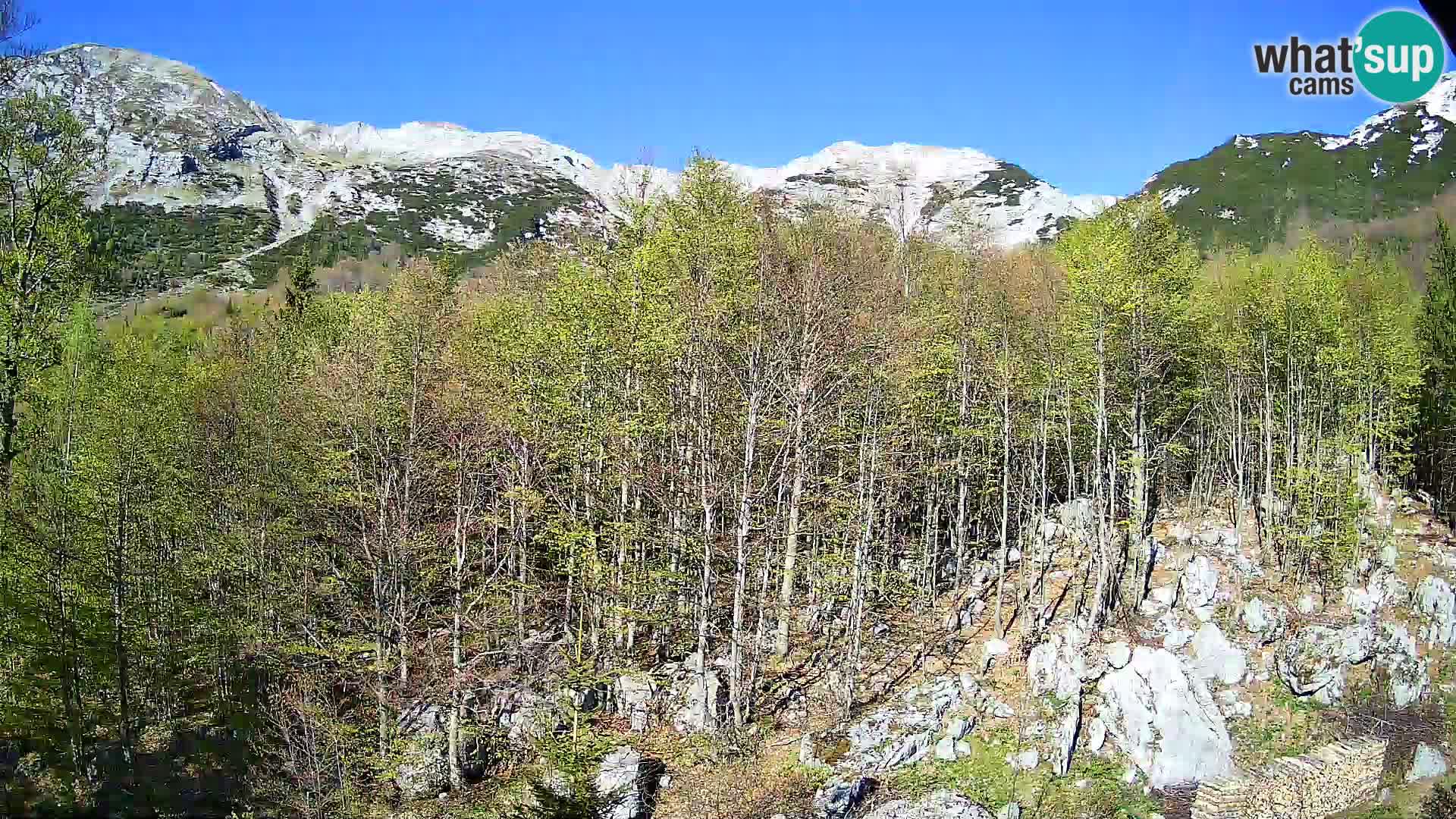 Livecam PLANINA RAZOR (1315) | vue sur Vogel et Globoko