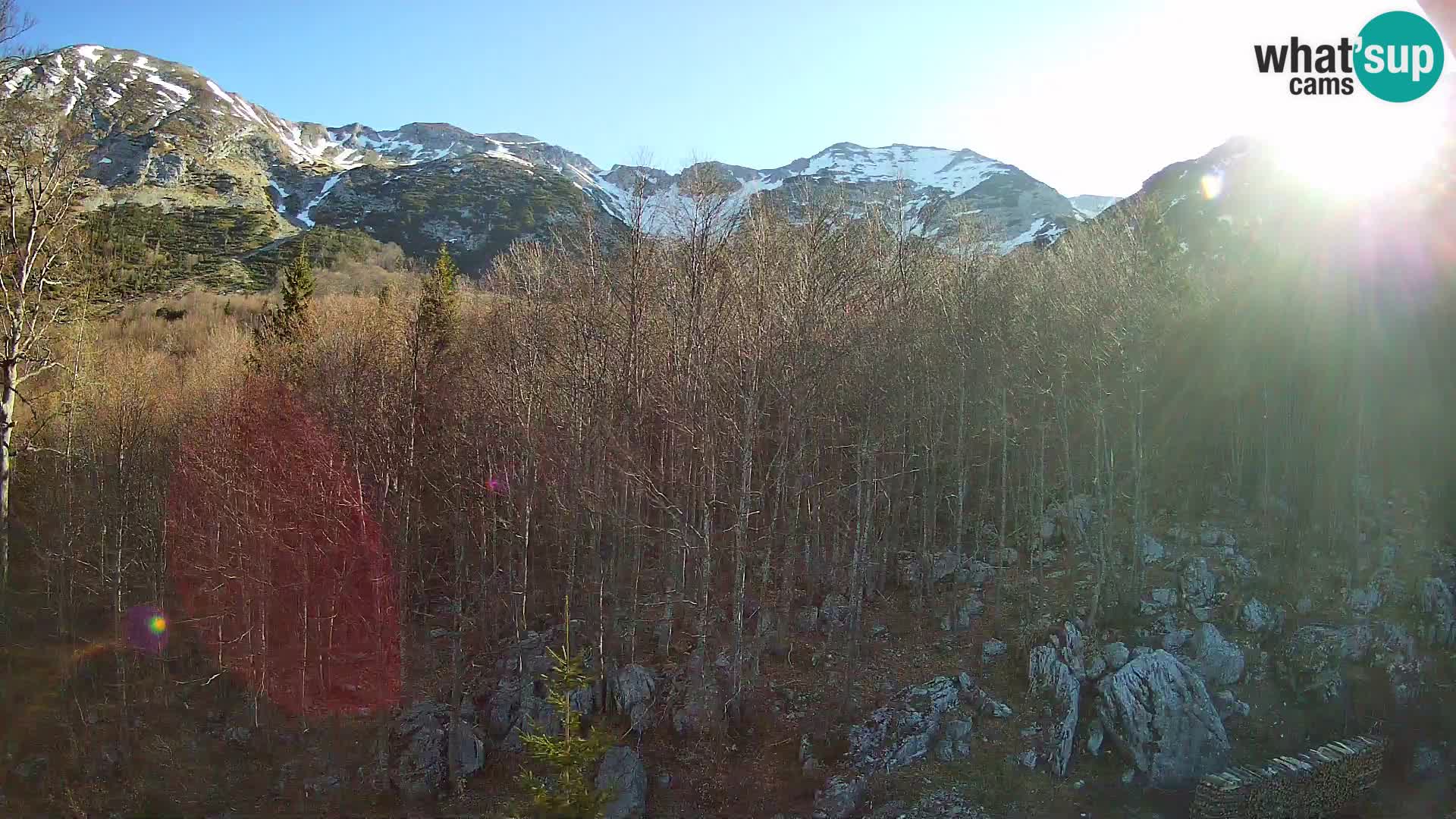 Livecam PLANINA RAZOR (1315) | vue sur Vogel et Globoko