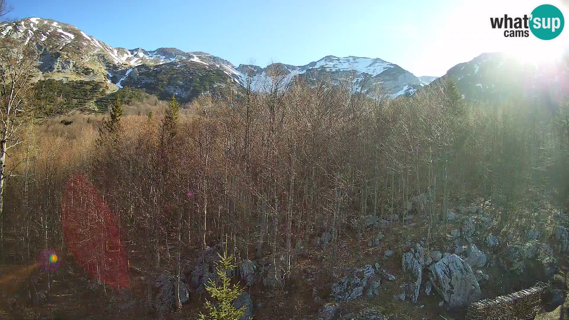PLANINA RAZOR kamera (1315) | pogled na Vogel in Globoko